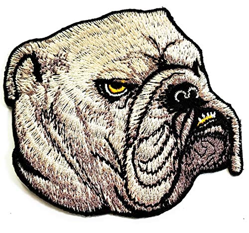 Pitbull34