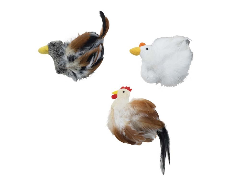 Ethical Pet 3 Pack Birds of a Feather Cat Toys - Colorful Feather Catnip Toys for Indoor Cats - Perfect for Playtime, Exercise & Bonding with Your Feline Friend