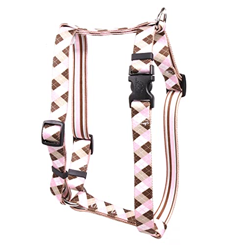 Pink & Brown Argyle w/Stripes