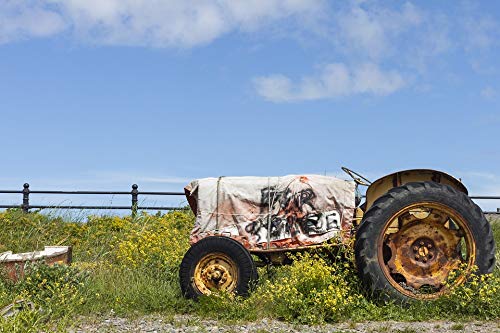 20x30 Inch Laminated Tractor & Beach Landscape Poster - Vibrant Colors, Durable Home Decor for Living Room, Office or Garage - Fits Standard Frames
