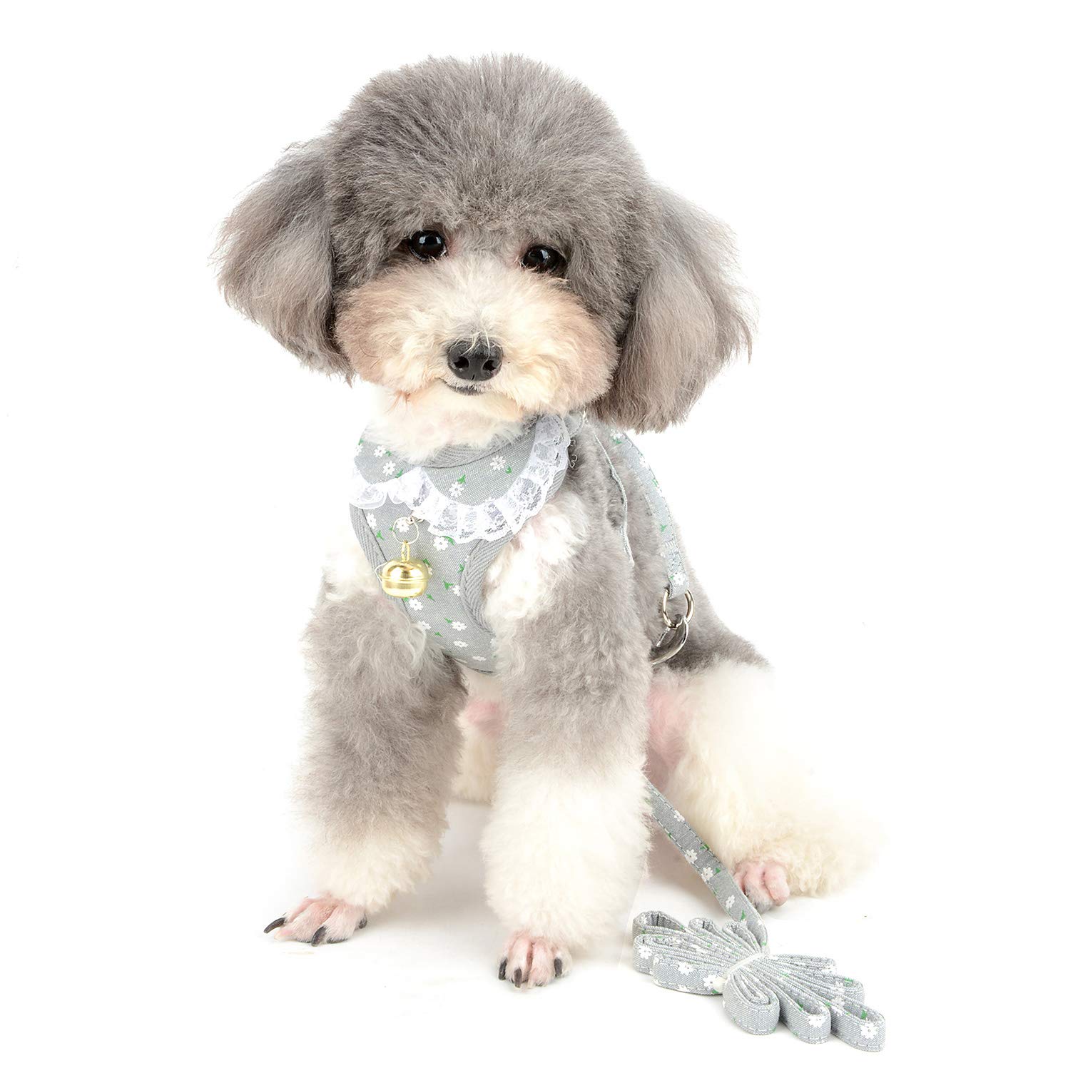 Ranphy Escape Proof Small Dog Harness & Leash Set - Adjustable Mesh Padded Vest with Bell, Breathable Soft Puppy Collar for Walking & Training - Perfect for Outdoor Adventures, Park Visits & Daily Walks (Gray, S)