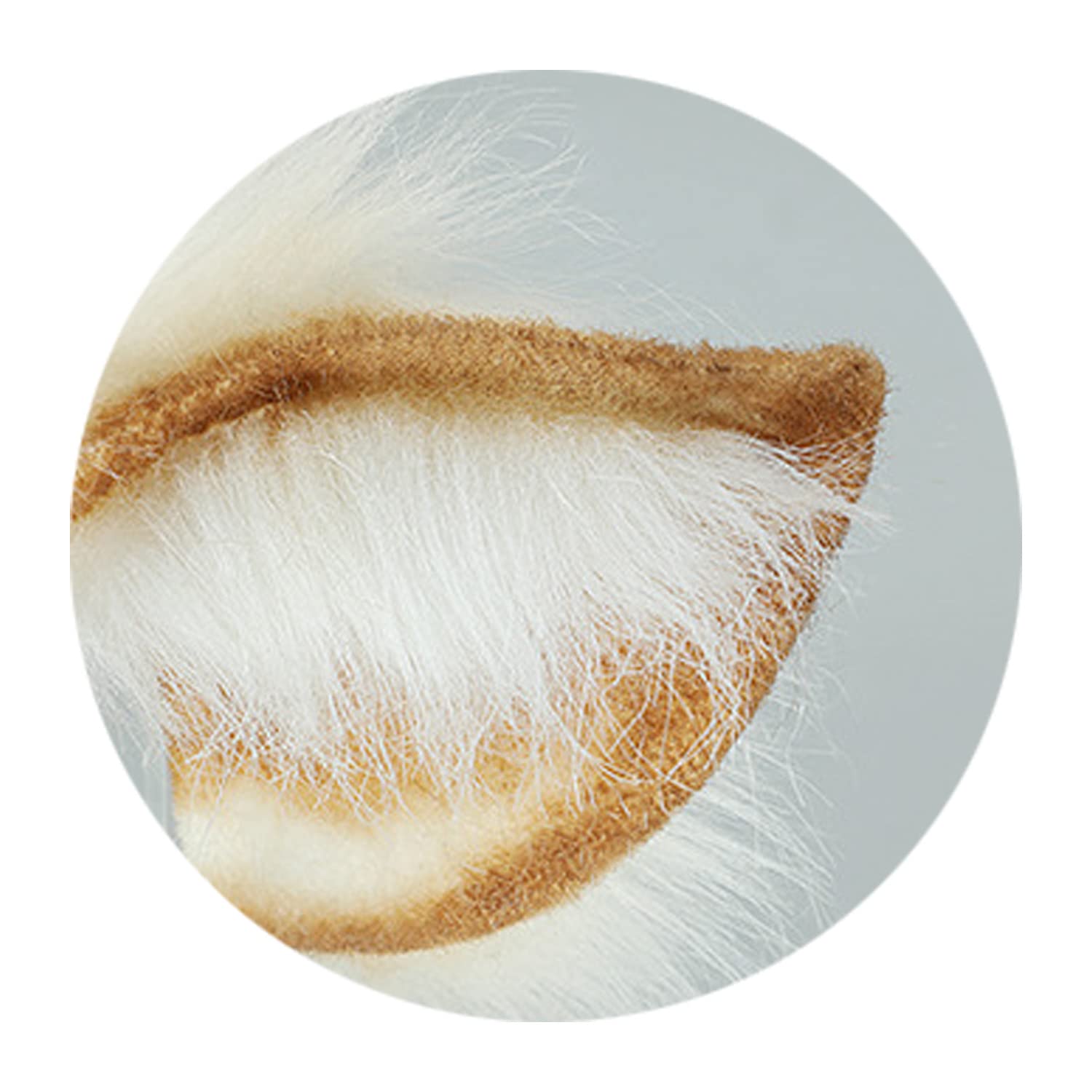 Cute Furry Reindeer Headband for Cosplay - Christmas Deer Hair Accessories for Women & Girls - Perfect for Holiday Parties, Costume Events & Festive Photos