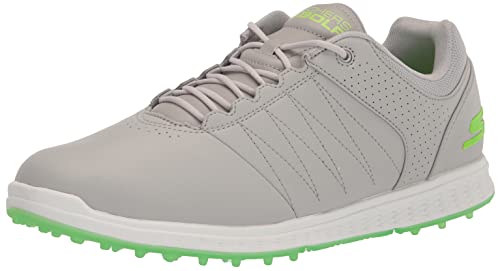 Gray/Lime
