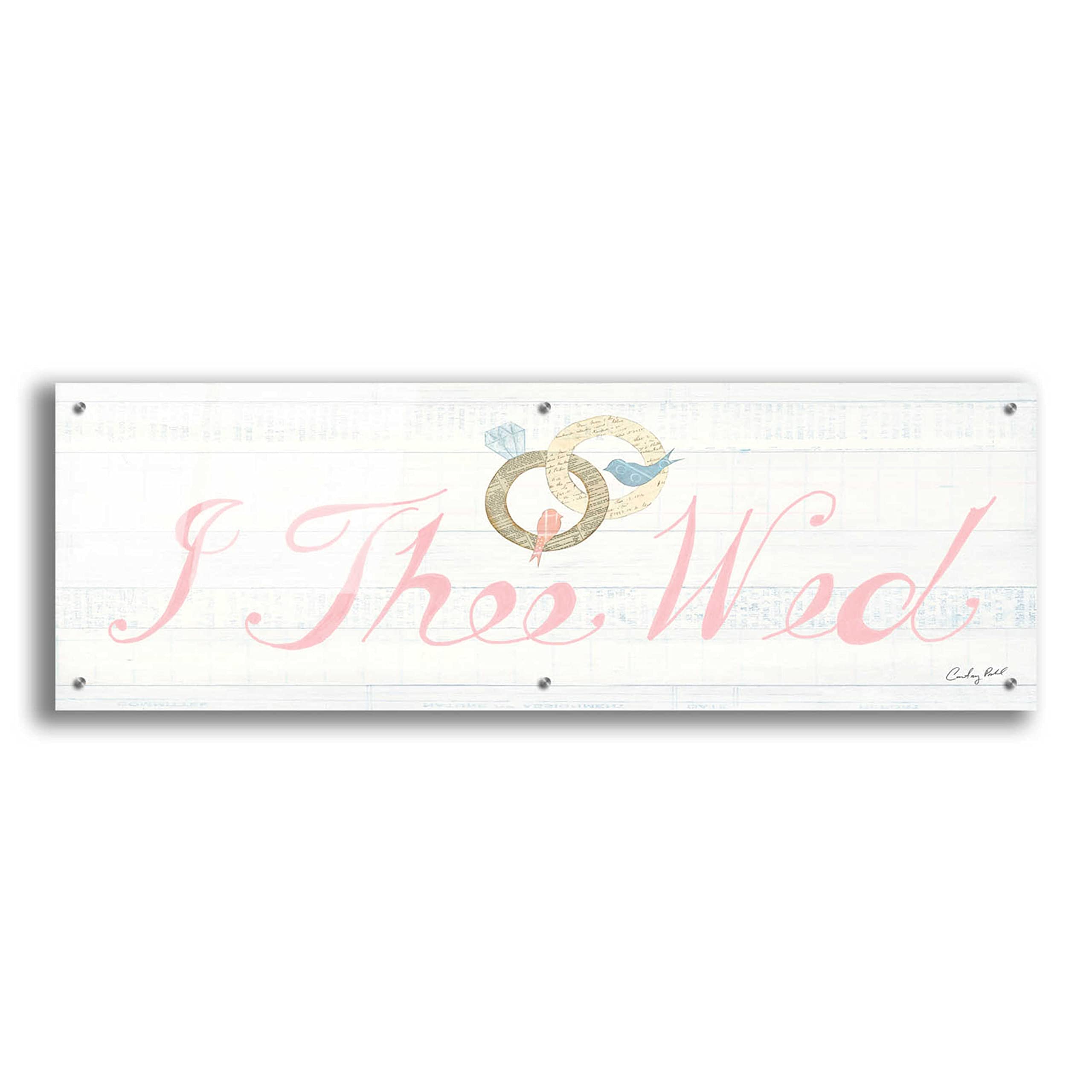 Courtney Prahl Lovebirds Sign I - 48x16 Inch Acrylic Glass Wall Art Painting, Modern Home Decor for Living Room, Bedroom & Office