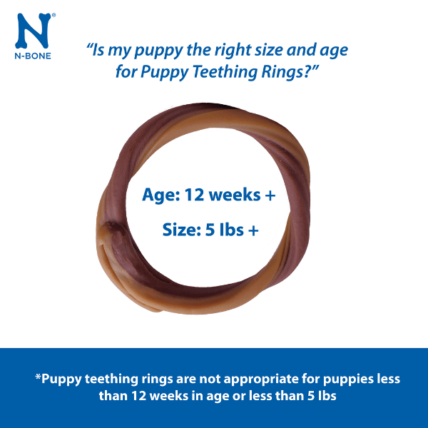 N Bone Puppy Teething Rings - Pumpkin Flavor Dog Chew Toys for Small & Medium Breed Puppies - Soothe Teething Pain & Promote Dental Health - Perfect for Training, Playtime & Anxiety Relief