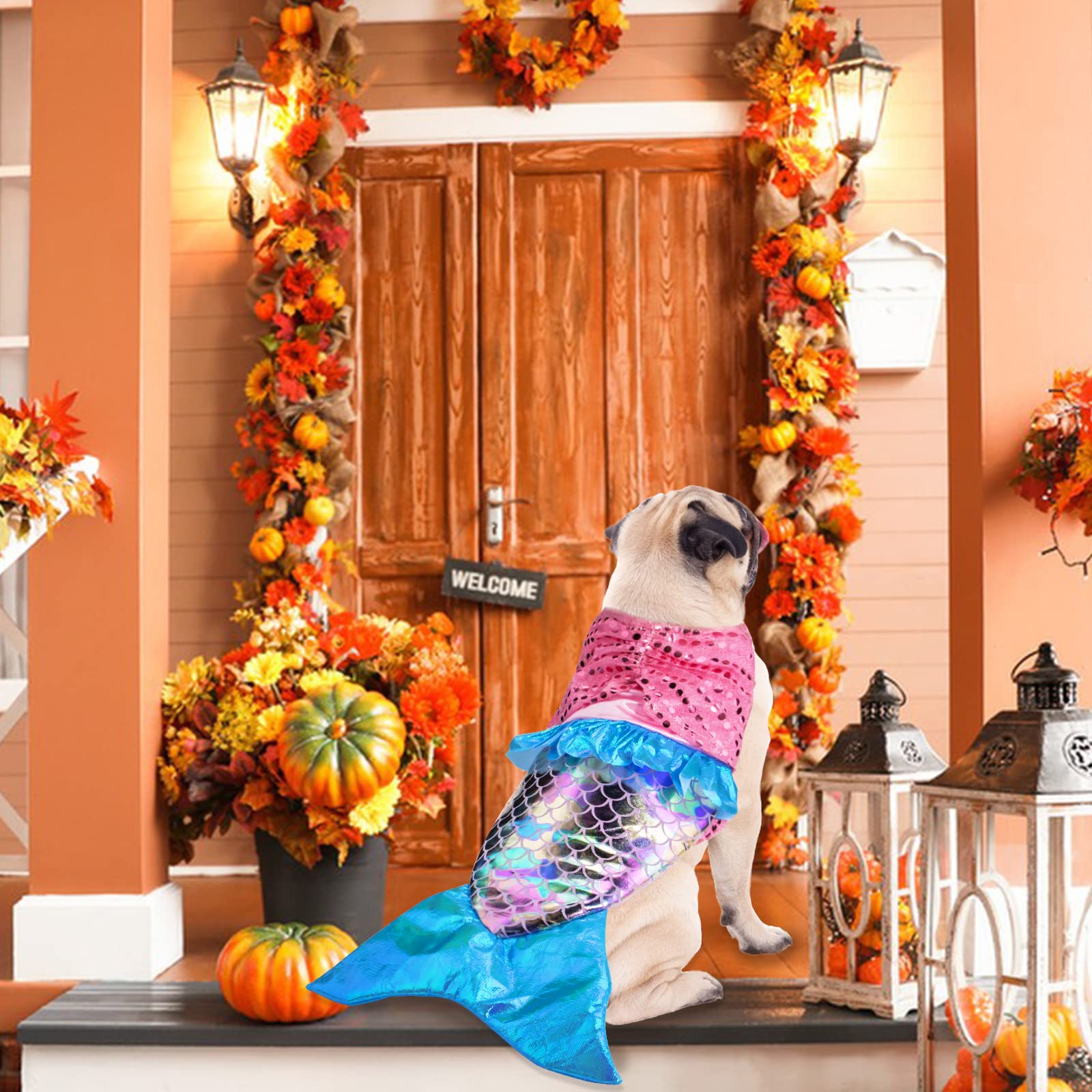 Mermaid Dog Costume for Small & Medium Dogs - Shiny Halloween, Christmas & Birthday Party Outfit | Funny Pet Cosplay for Dress-Up & Photo Shoots
