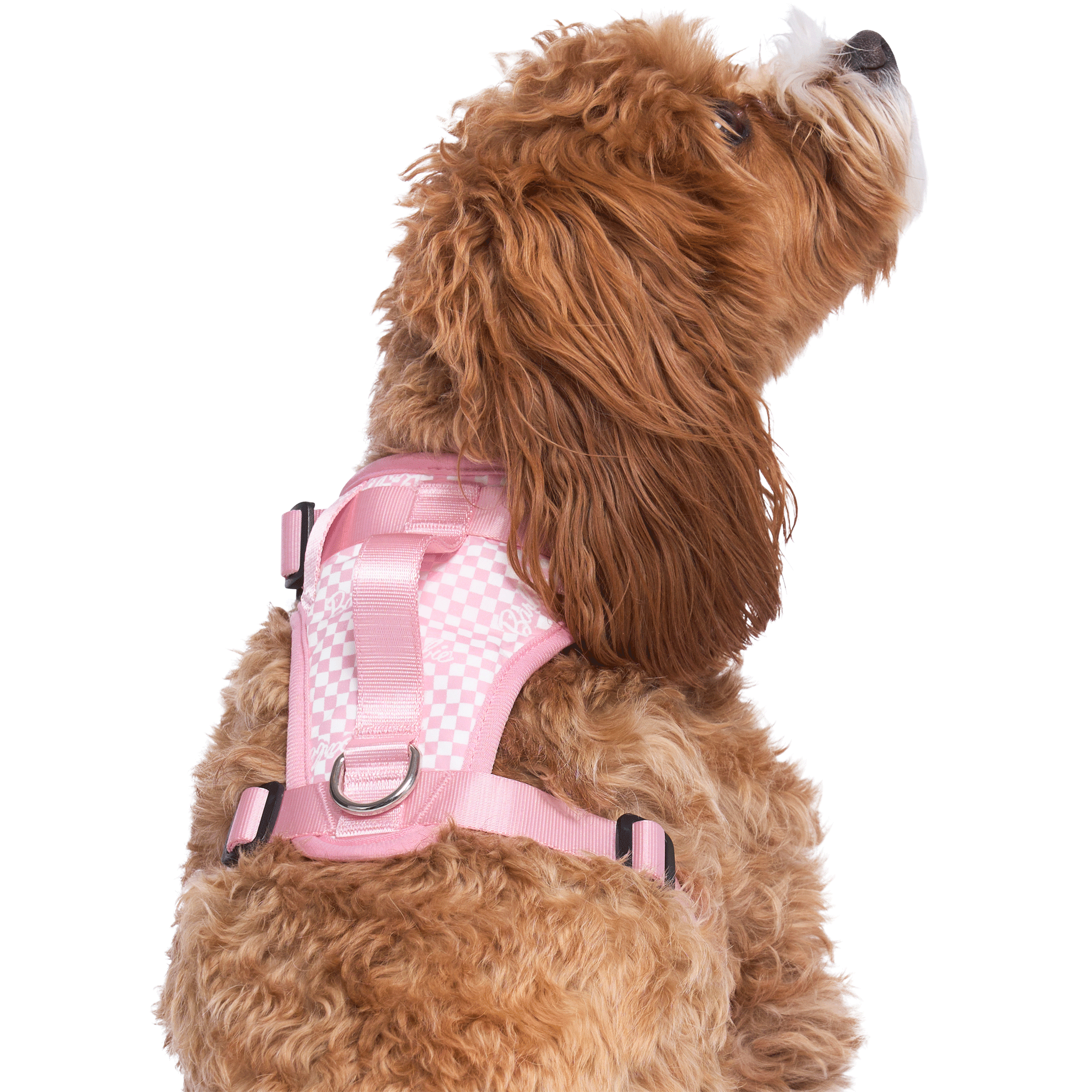 Barbie™ Everything Harness Checker - Adjustable Pet Harness for Small Dogs & Cats - Perfect for Walking, Travel & Outdoor Adventures
