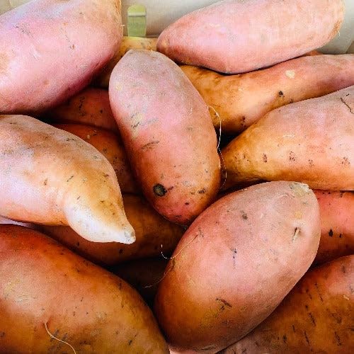 Fresh Sweet Potatoes Yams - USA Grown, NON-GMO, Bulk 20 lbs - Perfect for Baking, Roasting & Healthy Meals