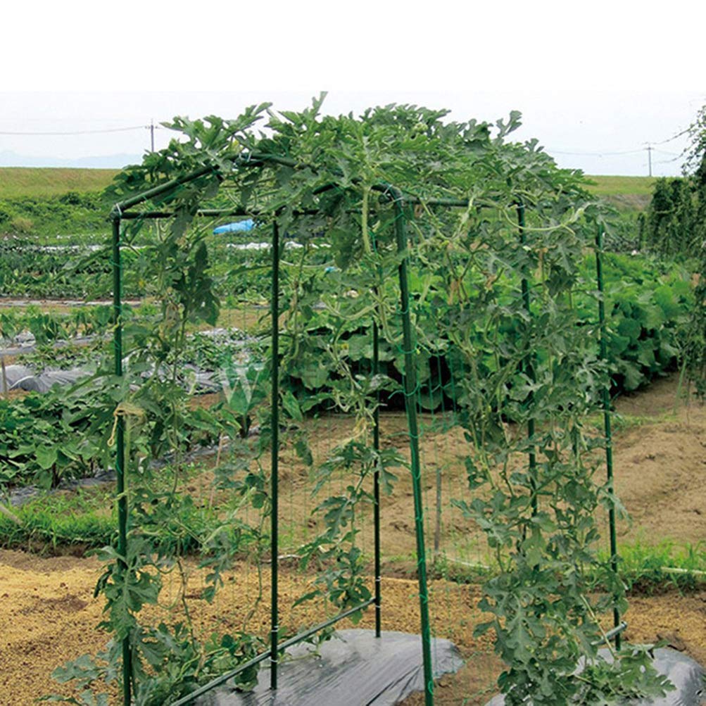 Premium Garden Netting for Fruits & Vines - Durable Climbing Plant Support Mesh for Petunias, Vegetables & More - Perfect for Vertical Gardening, Trellis Systems & Plant Protection