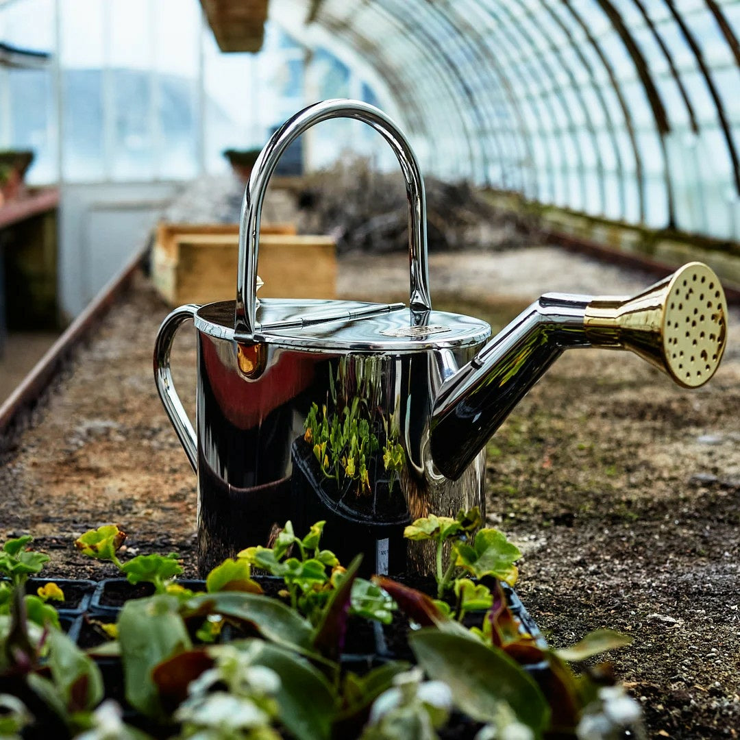 Premium 4L Stainless Steel Watering Can for Indoor & Outdoor Plants - Durable, Rust-Proof Garden Watering Can for Flowers, Herbs, and Houseplants
