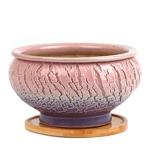 Pink-purple