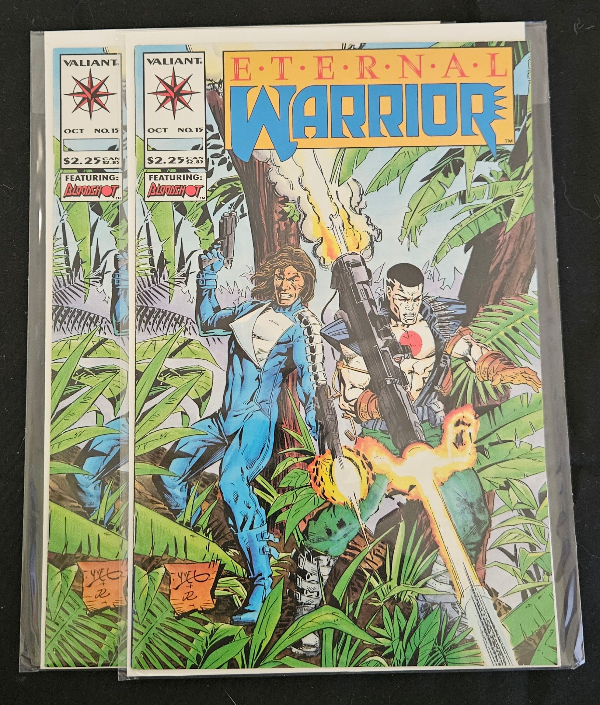 Valiant Eternal Warrior #15 (1993) Comic Book - Chaos Effect Part 1 | Near Mint Condition | Collectible Superhero Comic for Fans & Investors | Perfect for Display, Gifts & Comic Collections