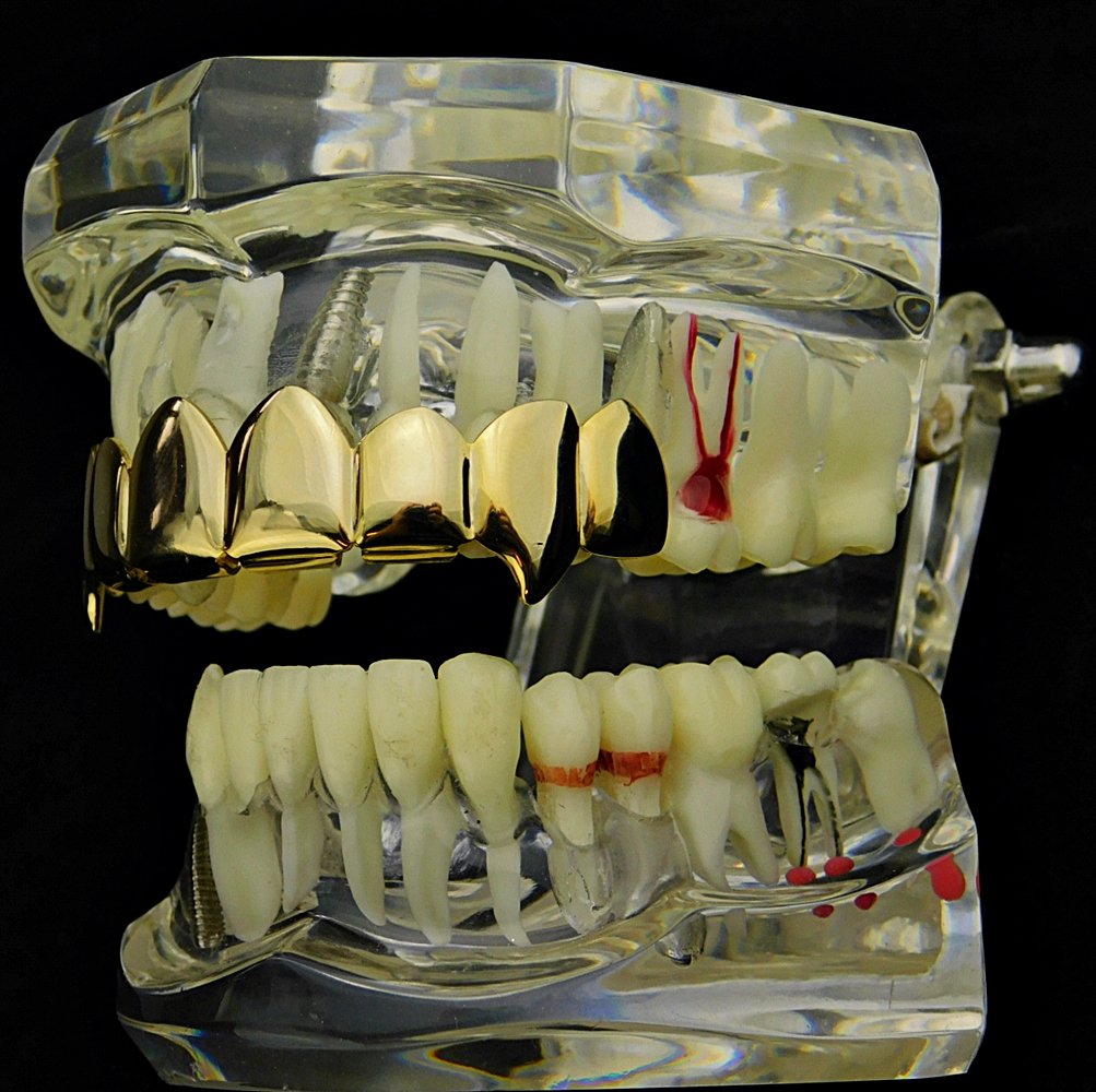 14K Gold Plated Fang Grillz - 8 Top Teeth Vampire Grills for Hip Hop & Halloween Costume | Perfect for Rappers, Performers & Cosplay Enthusiasts