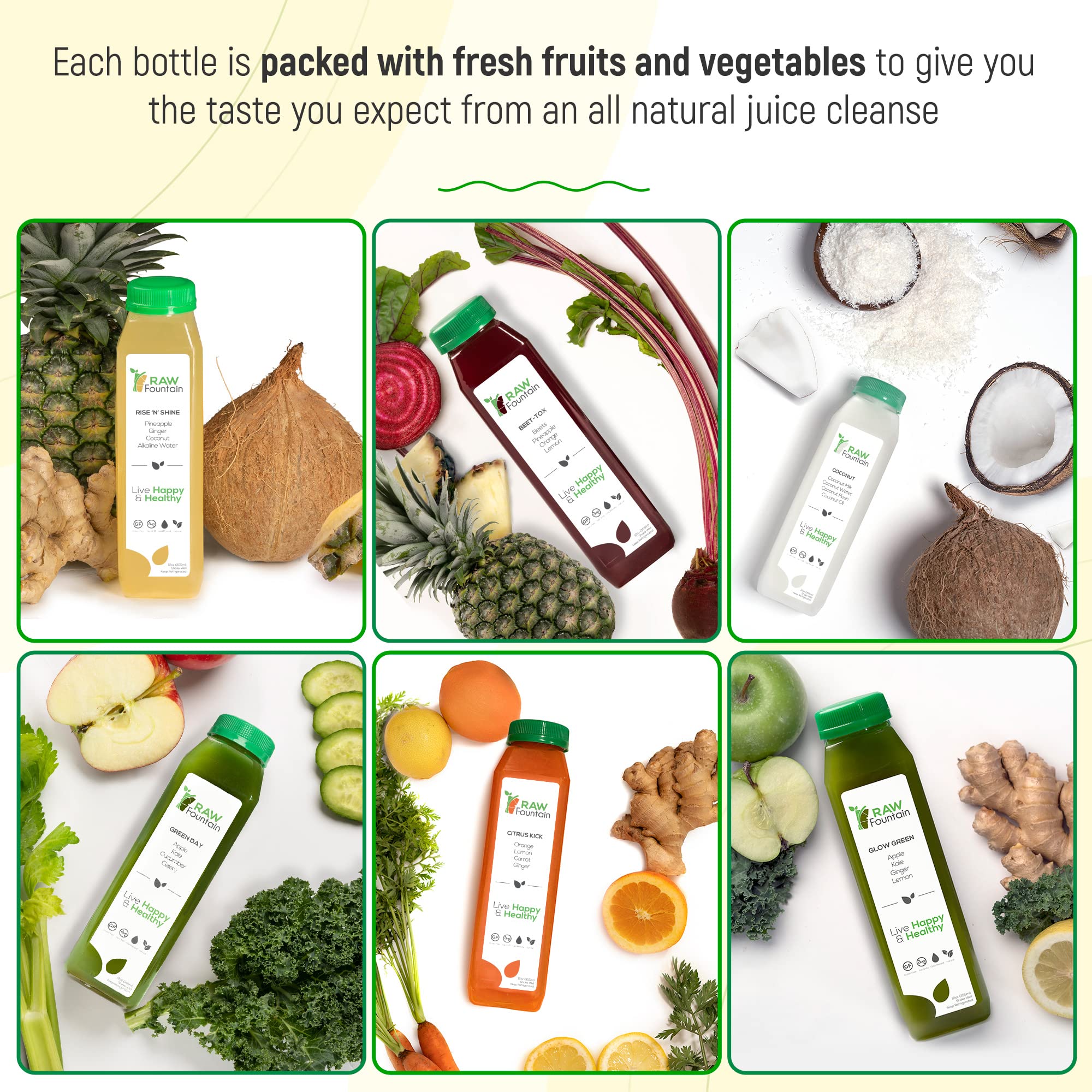 Raw Fountain 3-Day Juice Cleanse | All Natural Cold Pressed Detox Juice Fast | 18 Bottles (12oz) + 3 Ginger Shots | Body Reset & Weight Loss | Perfect for Post-Holiday Detox, Fitness Prep & Healthy Lifestyle Jumpstart