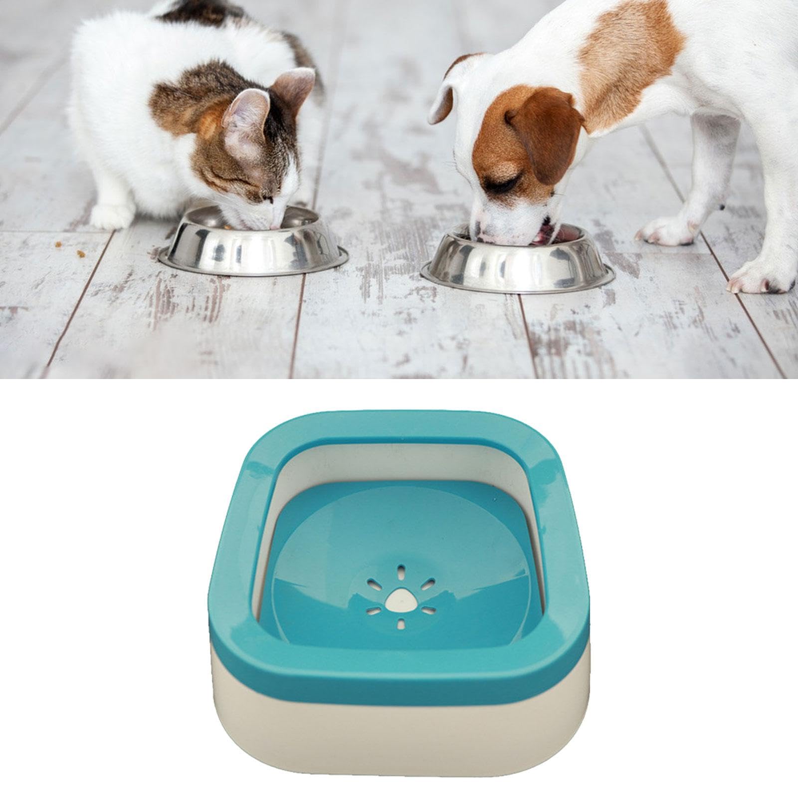 **Enakshi Automatic Cat Water Fountain with 1L Large Capacity - Blue Pet Drinking Bowl for Cats & Small Dogs | Perfect for Home, Office, or Travel Use**