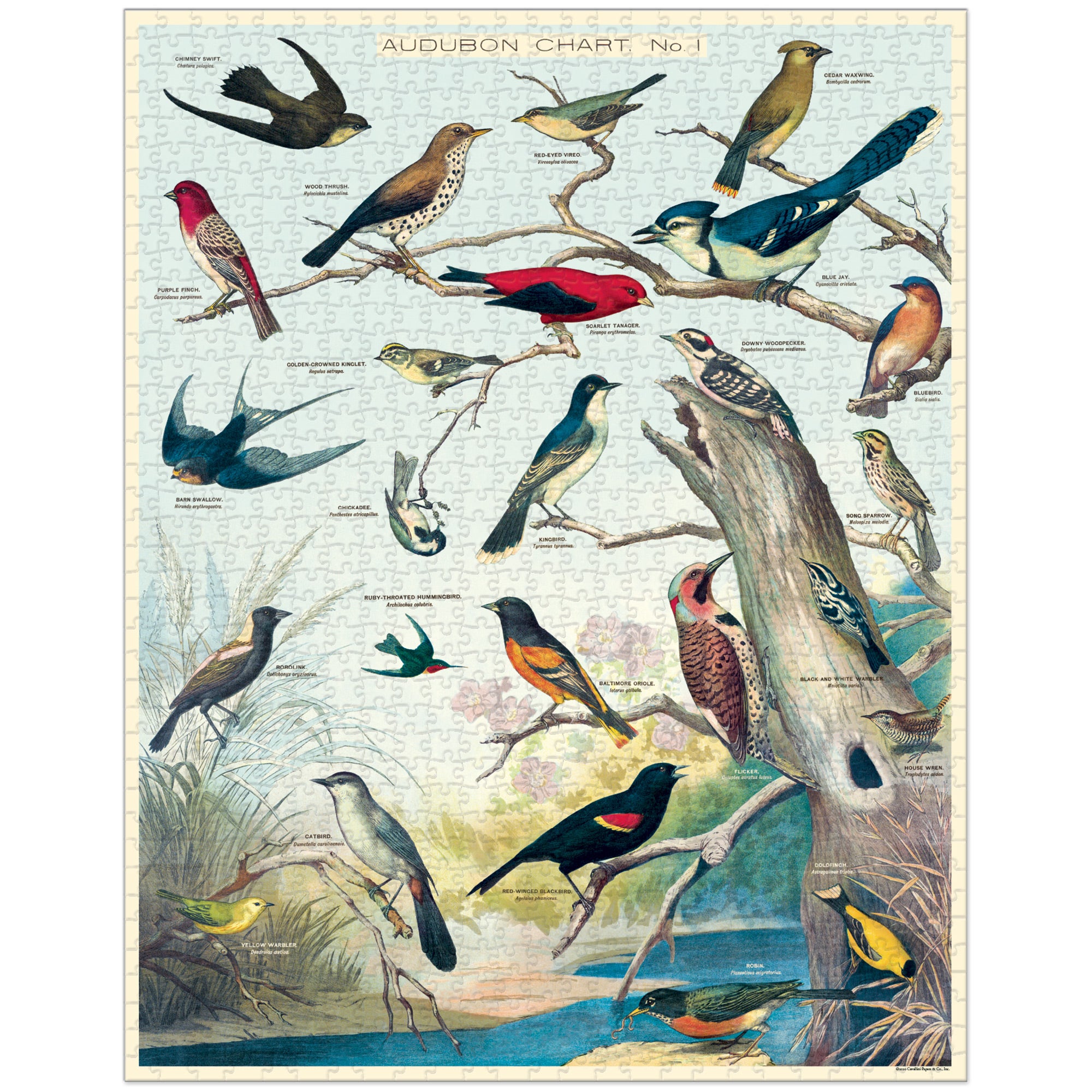 1,000 Piece Jigsaw Puzzle - Beautiful Birds Landscape for Adults & Teens - Perfect for Family Game Night, Relaxation & Home Decor