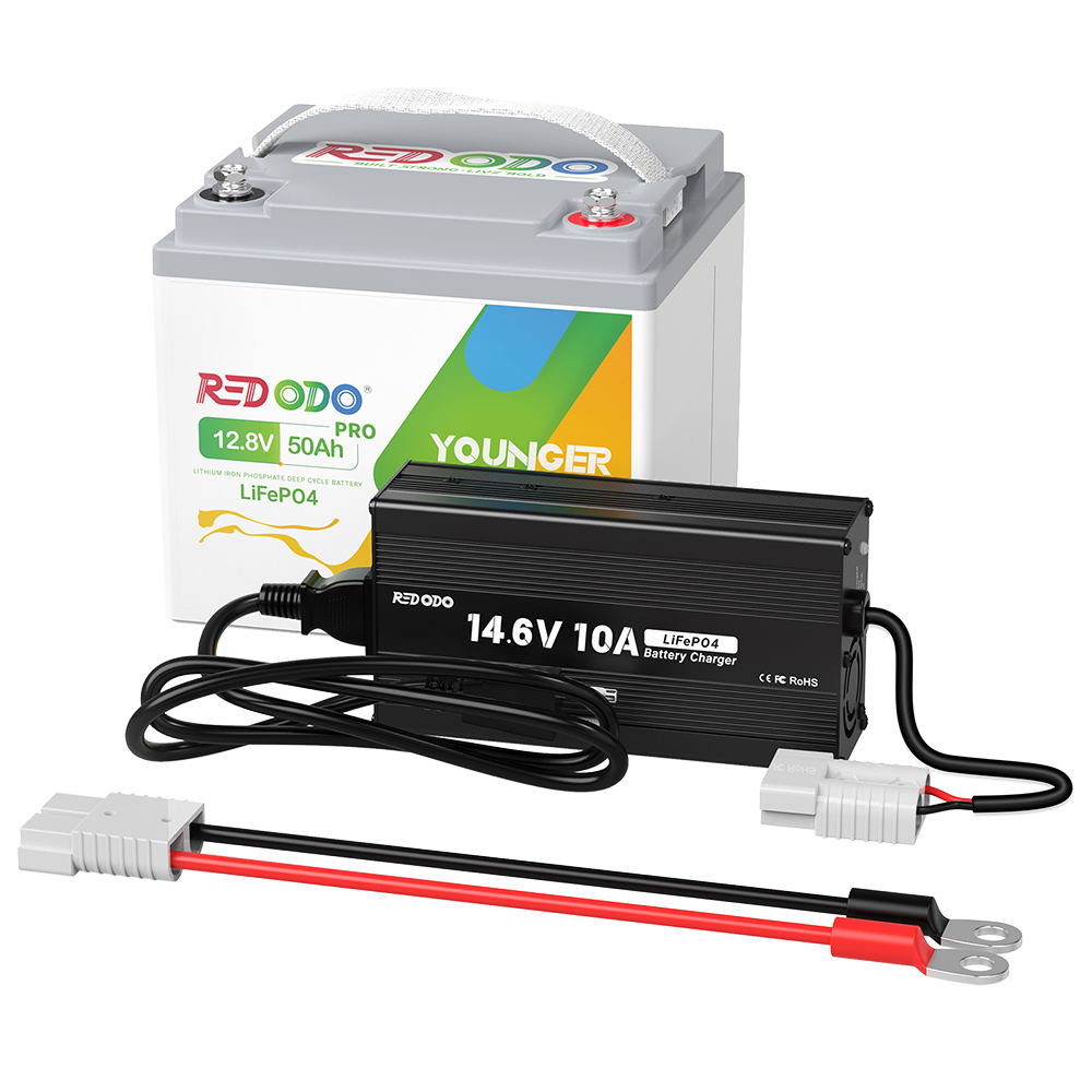Redodo 14.6V 10A LiFePO4 Battery Charger for RVs, Solar Systems & Marine Applications - Fast Charging Lithium Iron Phosphate Batteries