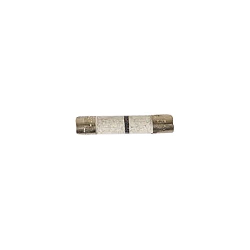 ForeverPRO WB27X10928 Replacement Fuse for GE Microwave Models WB27X10388, WB27X10928, 875392, AH239525 - Compatible with GE Microwave Ovens for Home & Kitchen Use