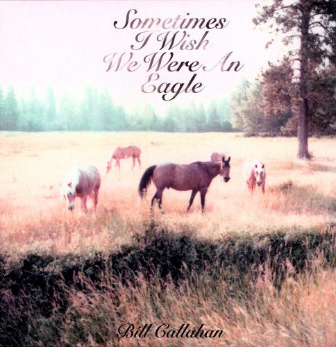 Bill Callahan - Sometimes I Wish We Were An Eagle Vinyl Record | Alternative Folk Music Album | Perfect for Relaxing Evenings & Music Collectors