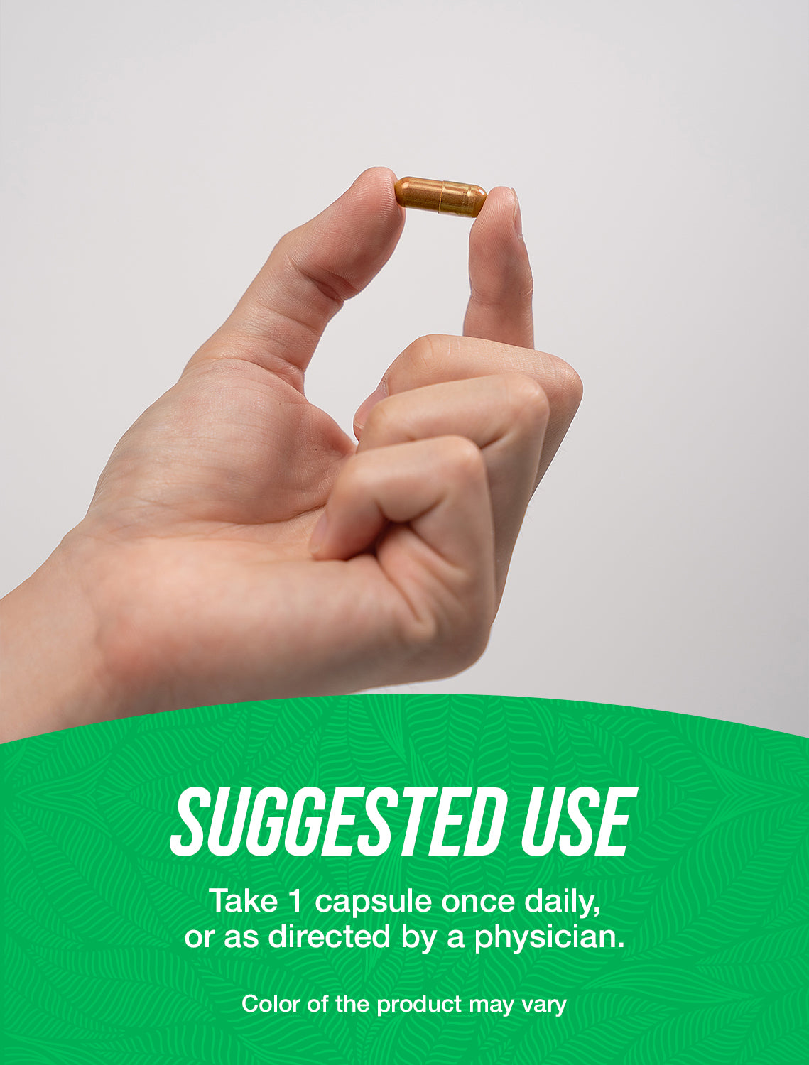 Organic Wormwood Capsules 500mg - 120 Count | Natural Digestive Support & Immune Boost | Herbal Supplement for Gut Health, Detox & Wellness | Perfect for Travel, Daily Health & Detox Routines