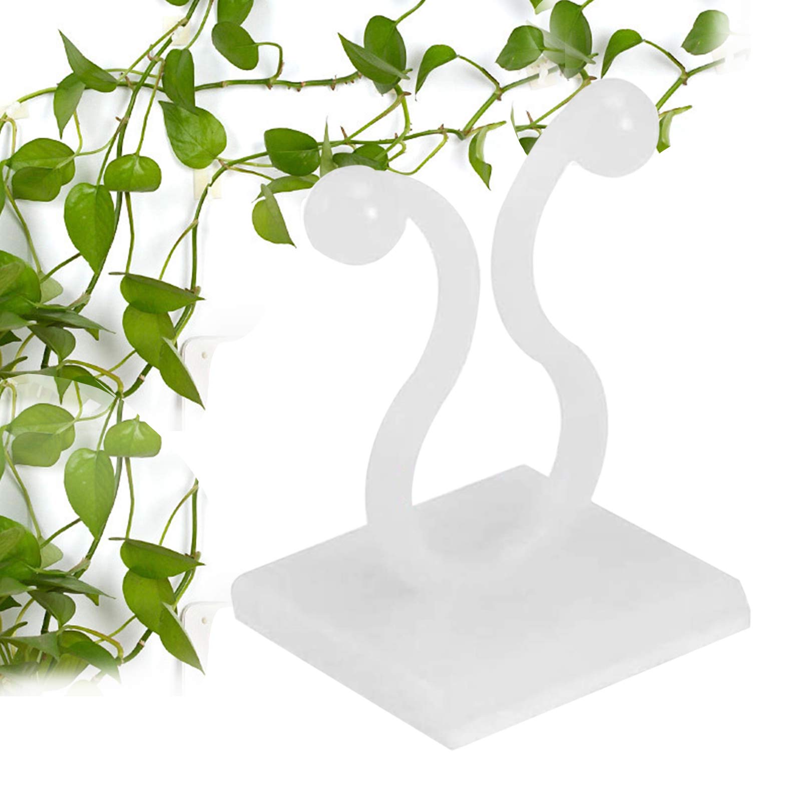 HIPIBEST 100-Pack Invisible Wall Vines Clips - Self-Adhesive Plant Climbing Hooks for Indoor/Outdoor Vine Support - Perfect for Ivy, Pothos & Climbing Plants in Gardens, Balconies & Home Decor