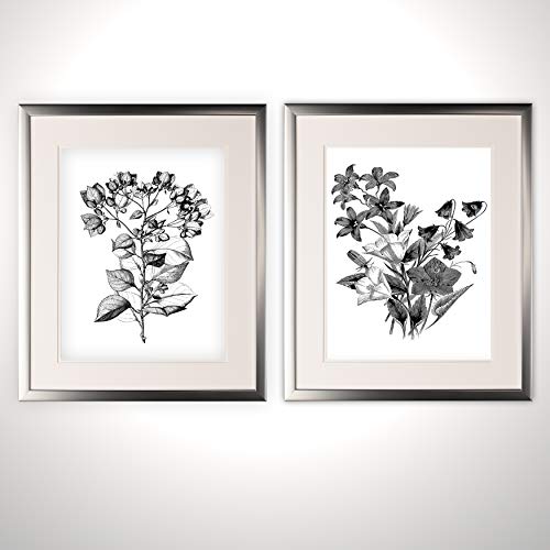 Botanical Black and White