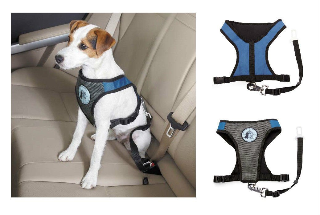 Dog Car Harness - Padded X-Large Blue for Safe Travel