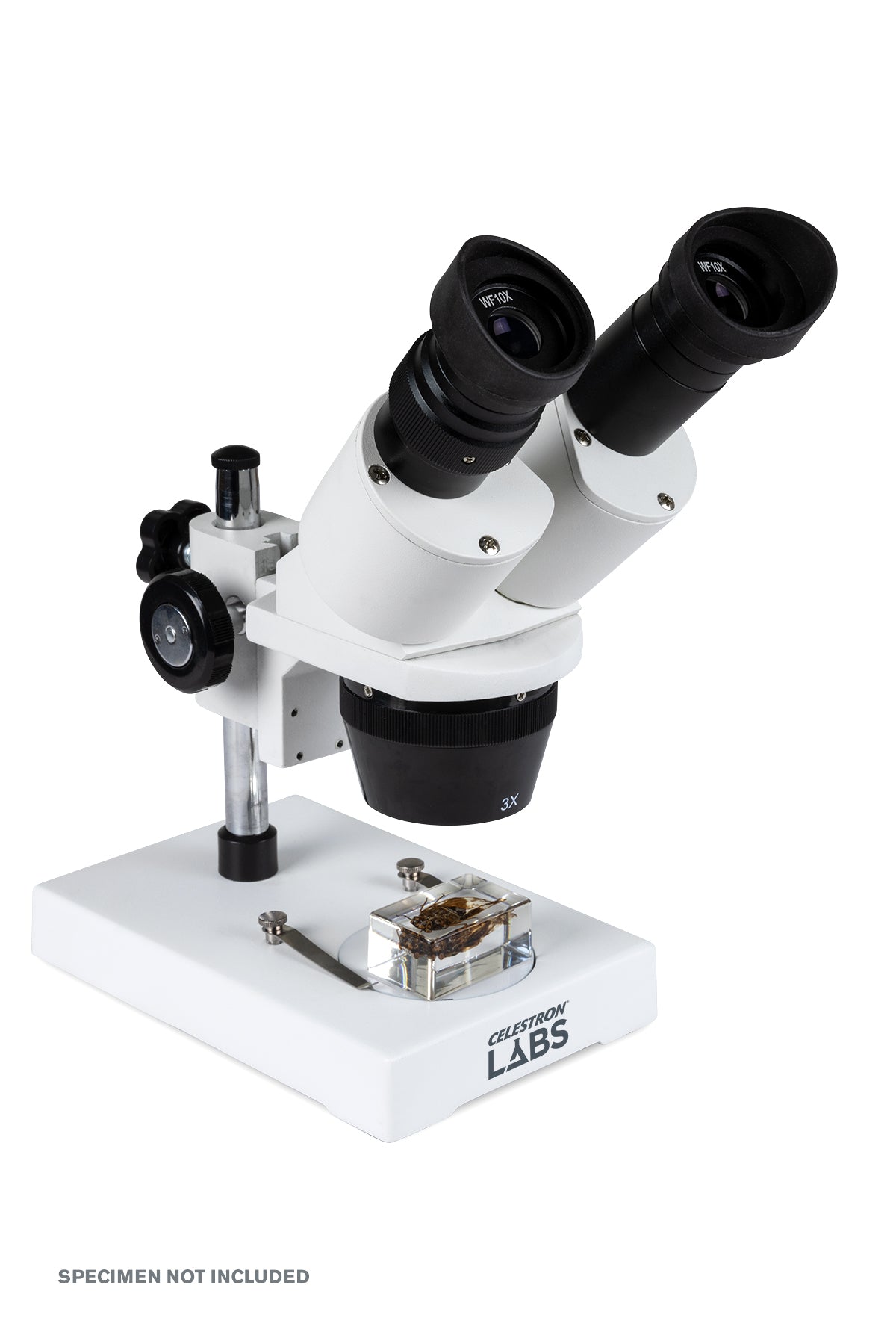 Celestron Labs S1030N Stereo Microscope 20x-40x Magnification for Coin Collecting, Jewelry Inspection & Science Education - Perfect for Hobbyists, Students and Professionals
