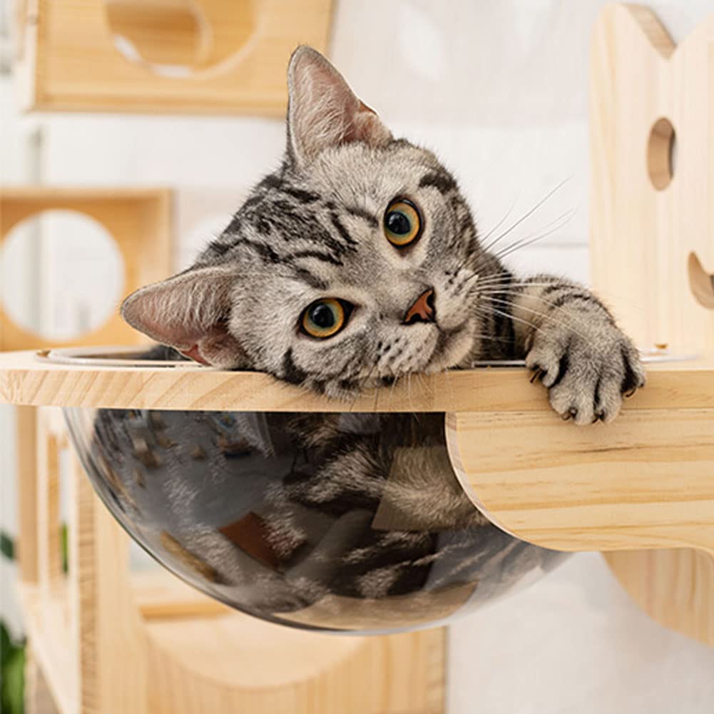 6-Piece Wall-Mounted Wooden Cat Climbing Set with Space Capsule Bed, Condo House, Shelves, Bridge, Ladder & Sisal Scratching Post - Multi-Level Cat Perch Furniture for Indoor Cats - Perfect for Small Spaces & Kitty Playtime