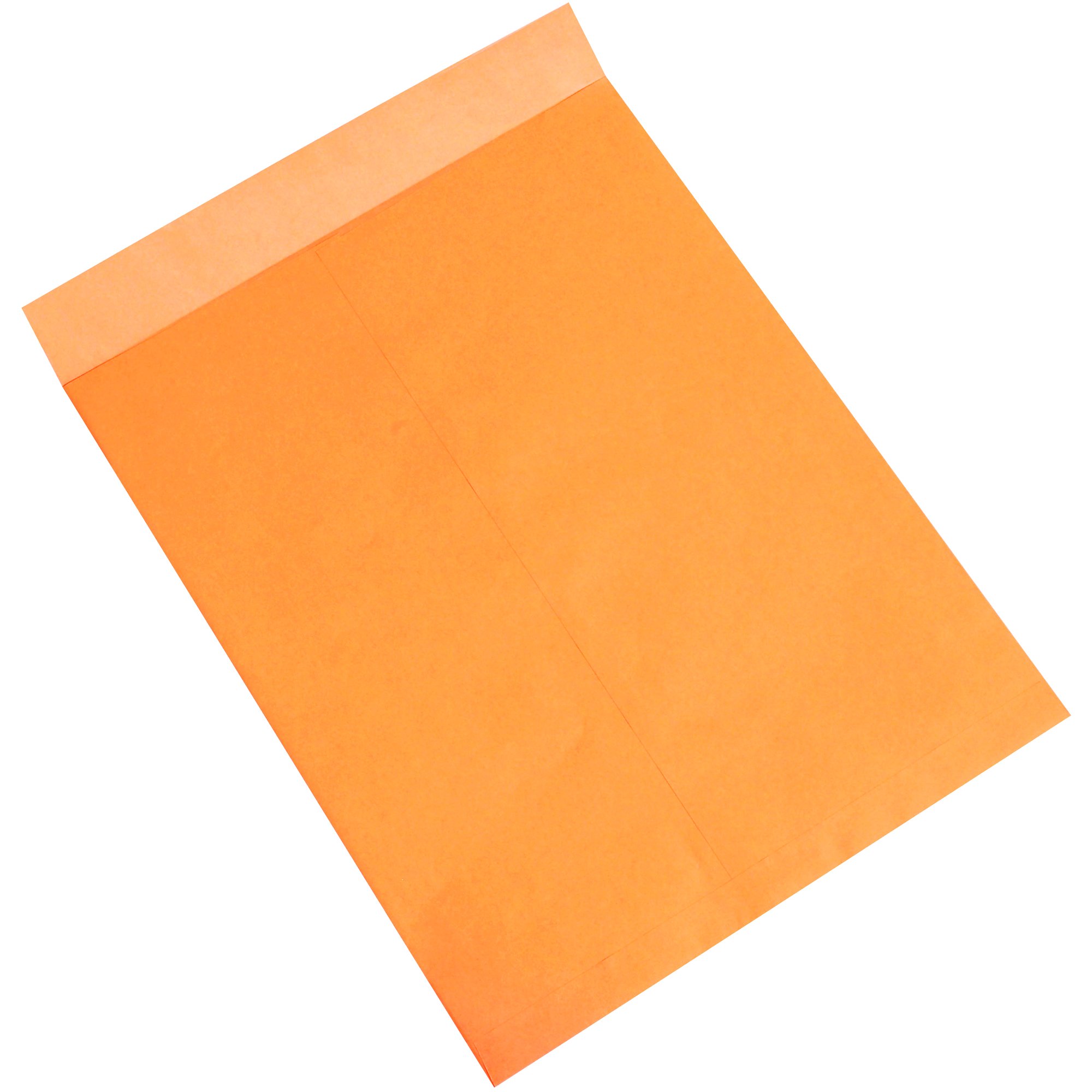 BOX USA BEN1085 Jumbo Kraft Envelopes 18x23 Inches - Pack of 100 | Perfect for Shipping Documents, Artwork & Large Items | Durable Mailing & Storage Solution