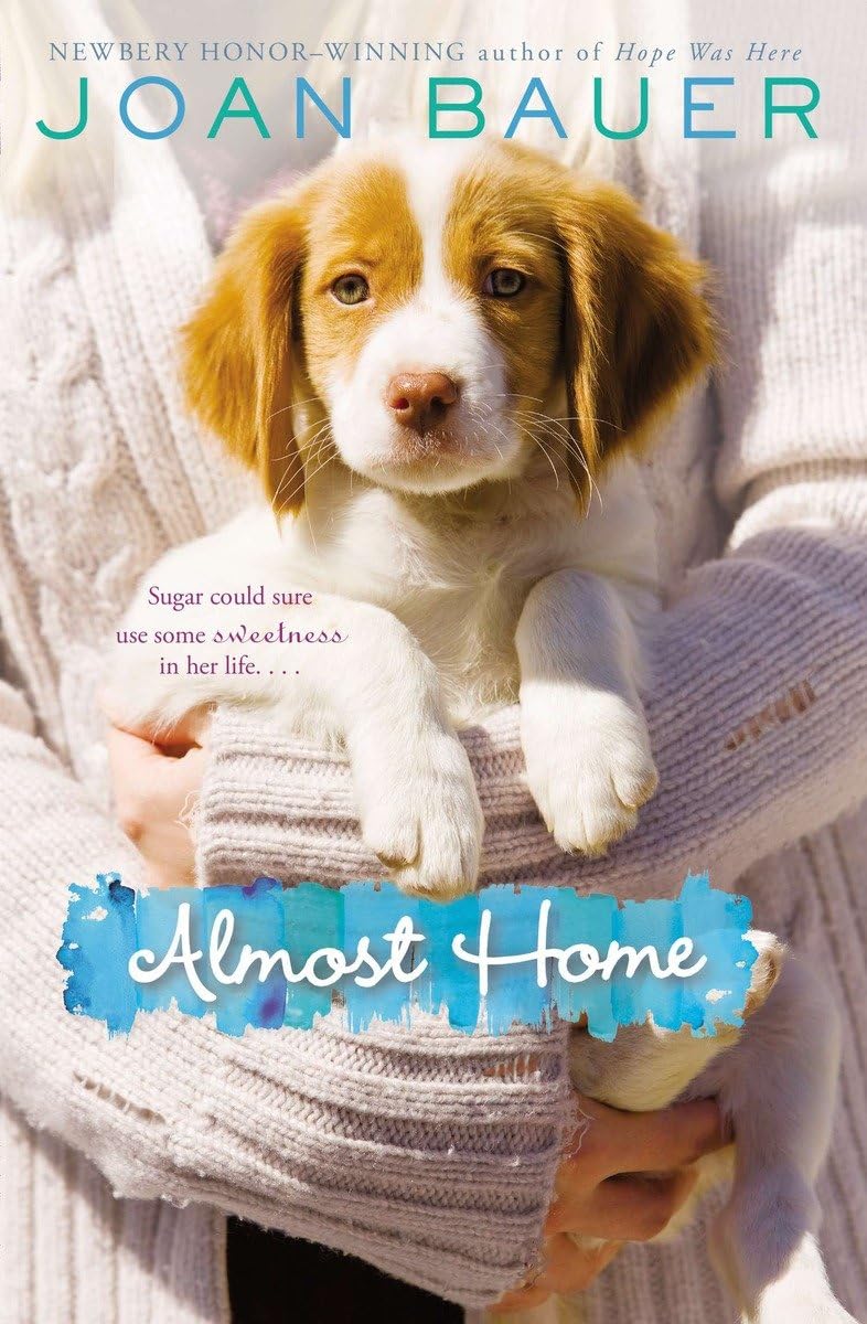 Almost Home - Cozy & Stylish Home Decor for Living Room, Bedroom & Office | Perfect for Gifts, Housewarming & Interior Design