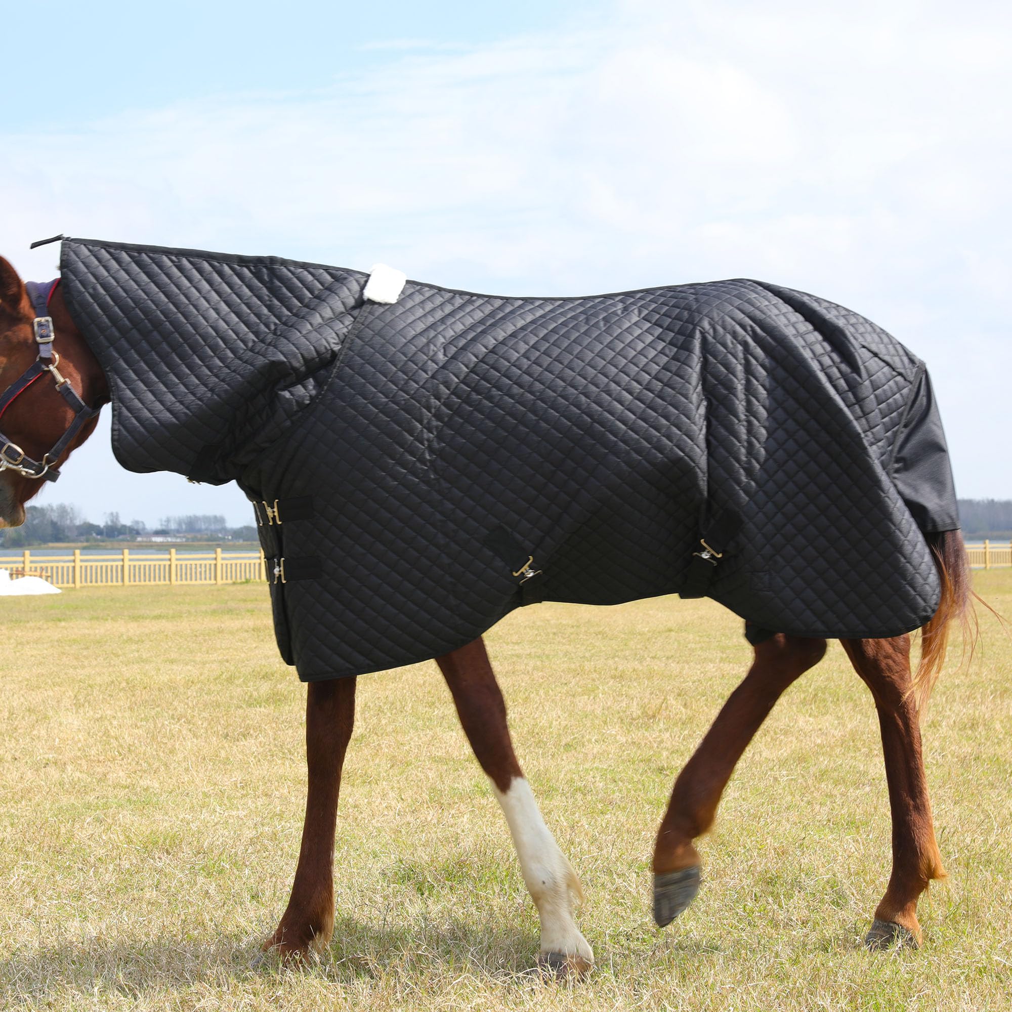HOMBYS 600D Waterproof Winter Horse Blanket Combo - 75 Inch Heavy Duty Turnout Blanket for Real Horses, High Density Quilted Black Horse Sheet - Ideal for Cold Weather Riding, Stable Use & Outdoor Protection