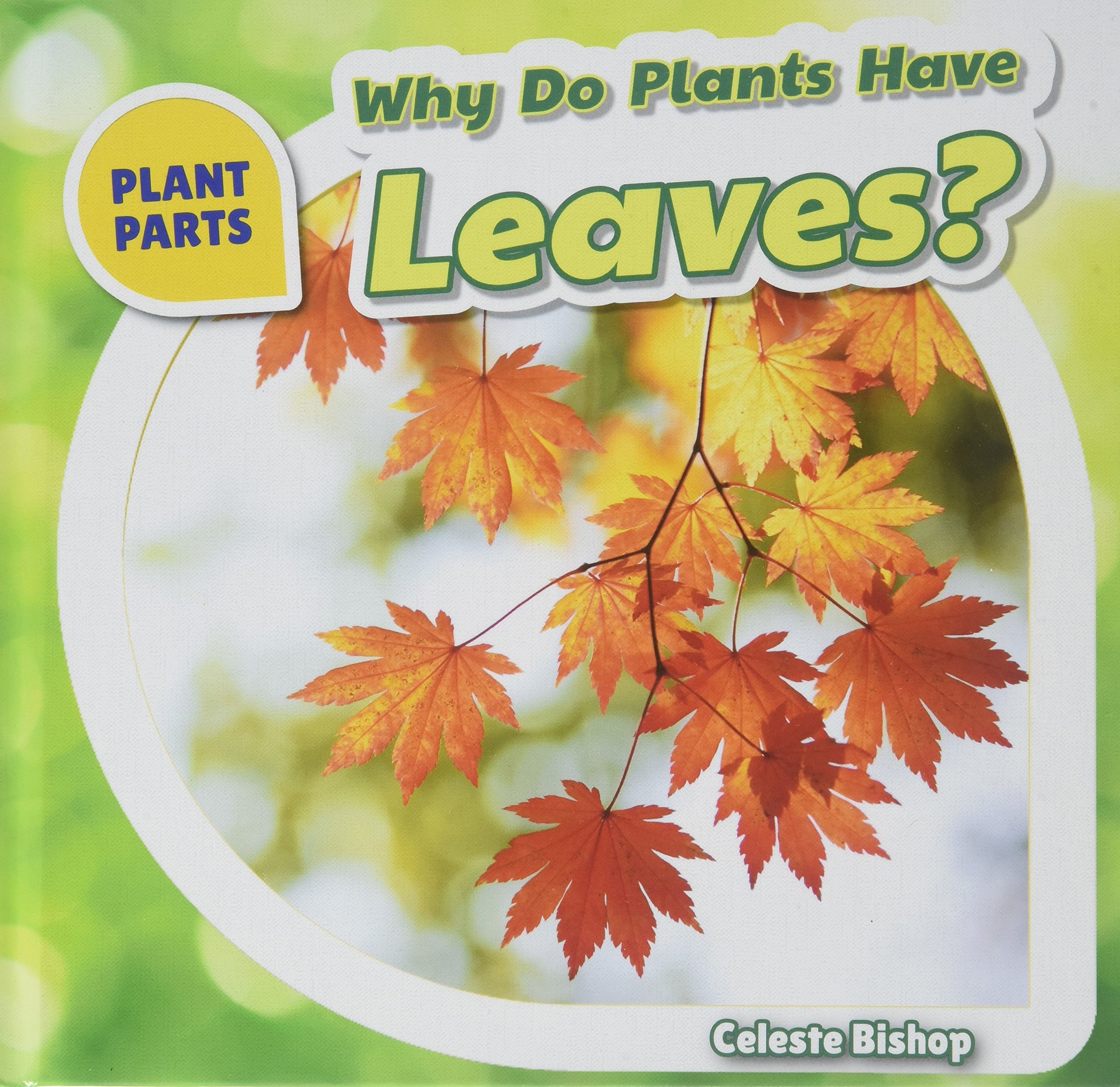 Why Do Plants Have Leaves? - Plant Anatomy Explained for Kids | Science Learning & Classroom Use