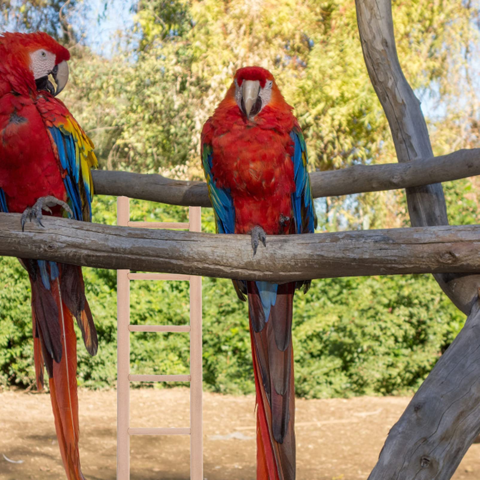 4pcs Wooden Bird Ladder Toys for Parrots - Hanging Climbing Ladder for Bird Cage - Natural Wood Bird Climbing Toy for Parakeets, Cockatiels, Lovebirds - Perfect for Exercise & Play in Aviaries & Cages