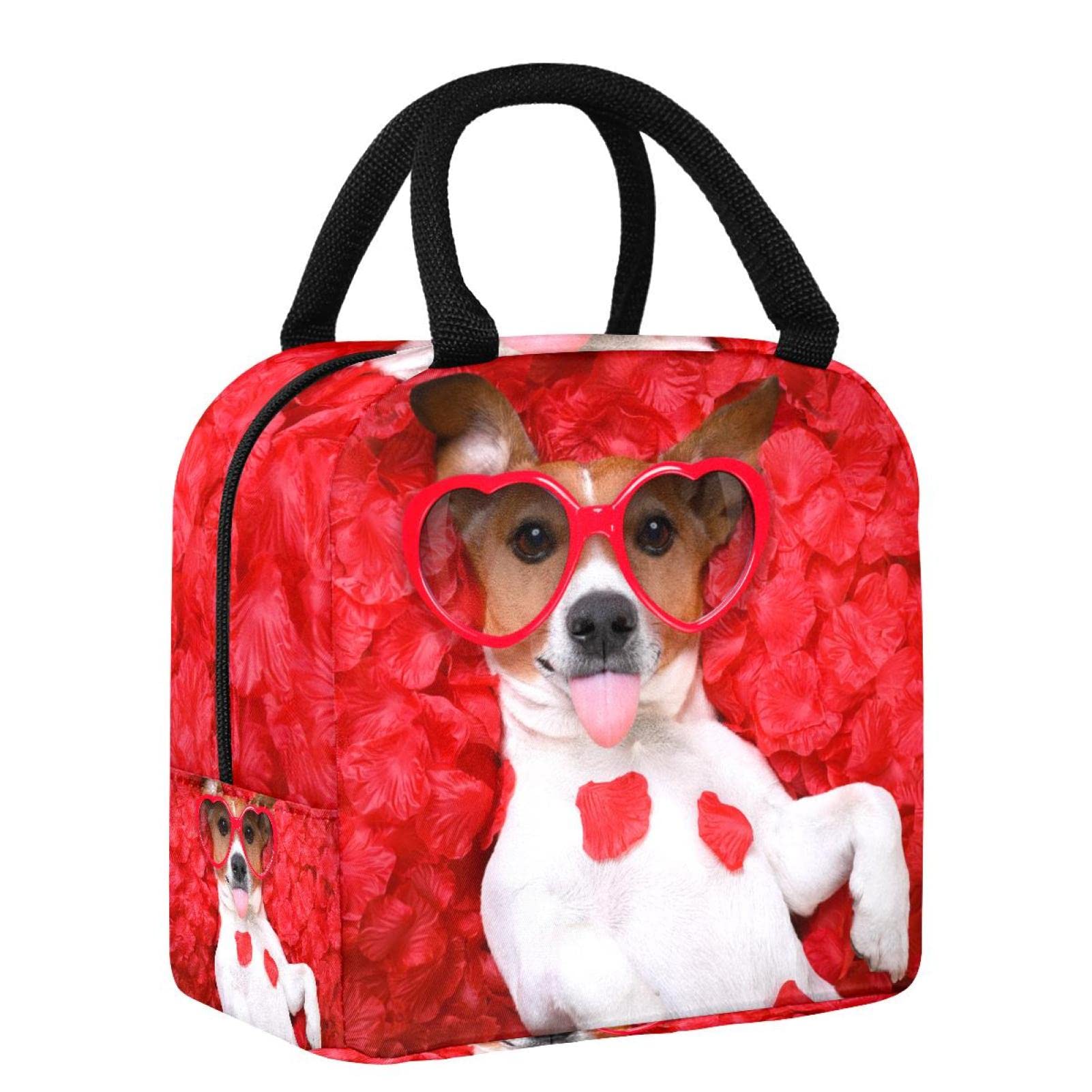 Insulated Reusable Dog Meal Kit - Leak-Proof Lunch Box for Office, School & Picnic - Perfect for Pet Food Storage & Travel