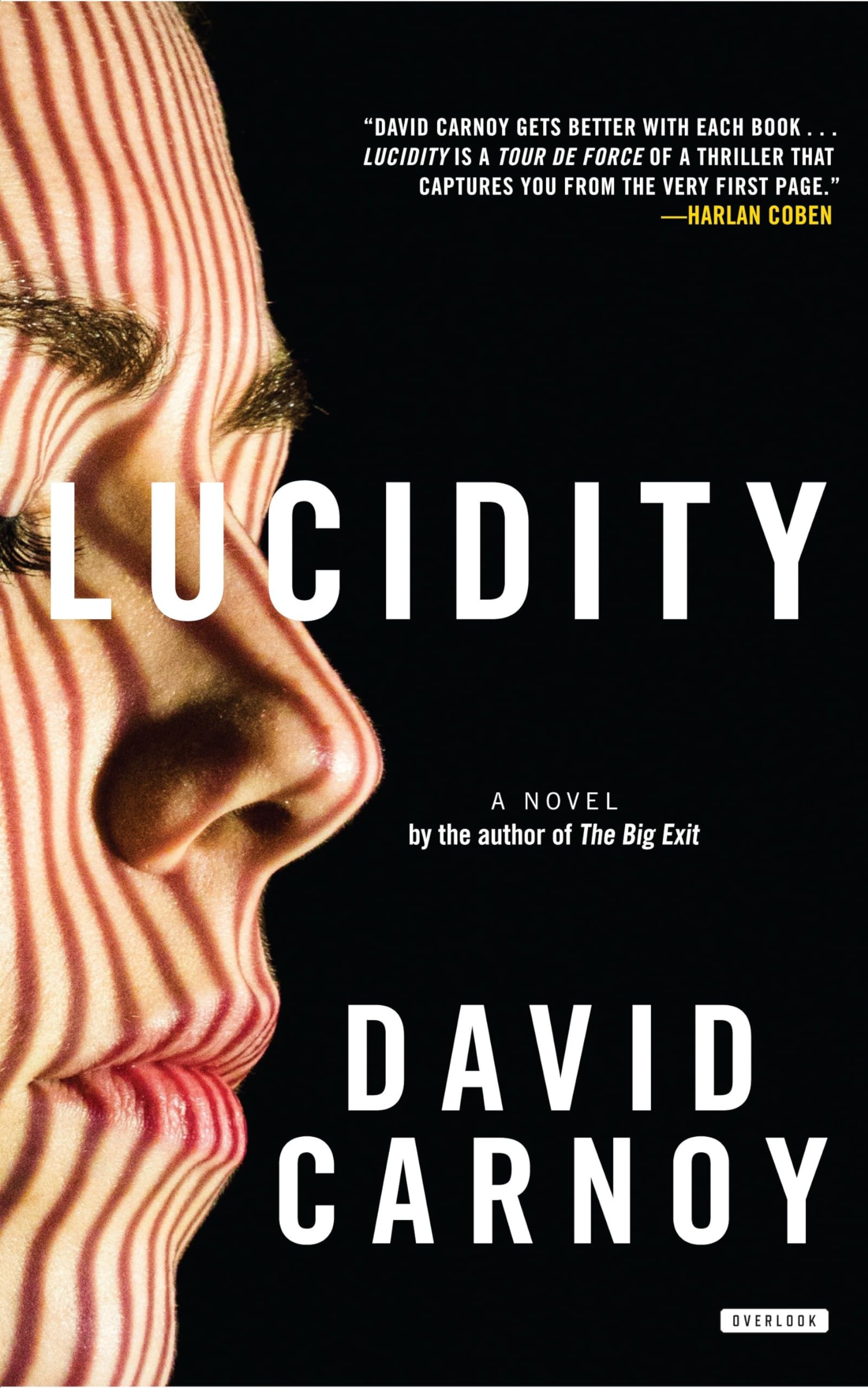 Lucidity Thriller Novel - Suspenseful Reading for Mystery Lovers
