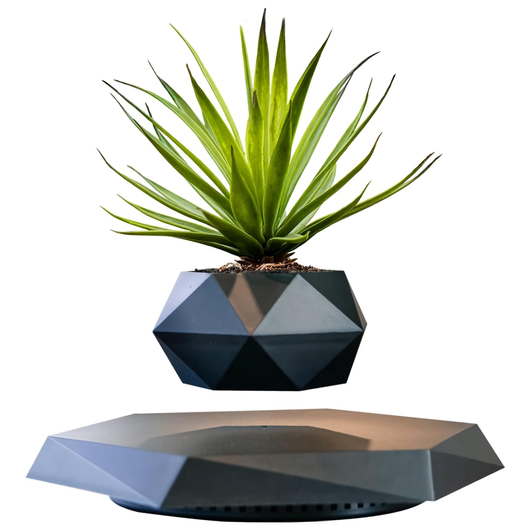 Magnetic Levitating Plant Pot - Floating Rotating Flower Planter for Succulents, Home, Office & Desk Decor (Black) | Perfect for Living Room, Bedroom & Workspace Decorations