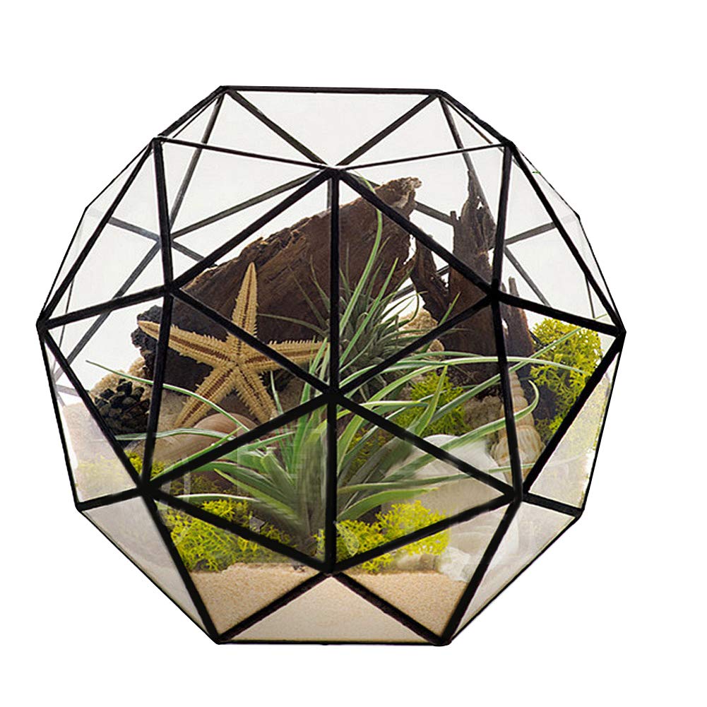 Geometric Glass Terrarium Planter for Air Plants & Succulents - Modern Miniature Fairy Garden Decor for Balcony, Tabletop & Indoor Display | Perfect for Home, Office & Wedding Centerpieces