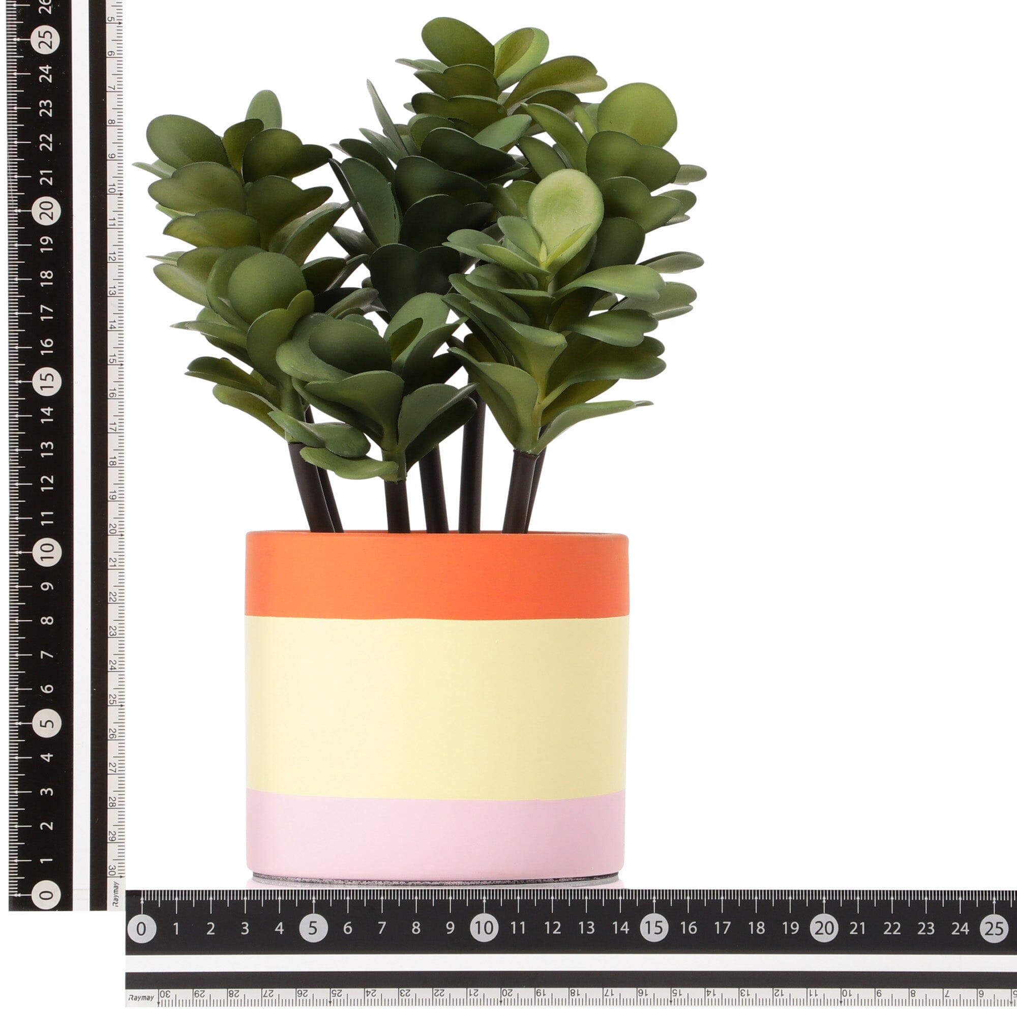 Art Green & Pot Succulents - Beautiful Live Succulent Plants for Home Decor, Office Desk, and Garden - Perfect for Indoor and Outdoor Planting