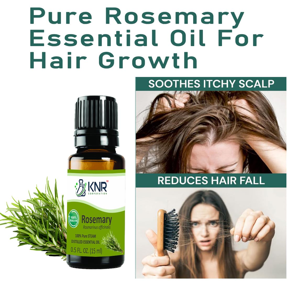 KNR CORPORATION 100% Pure & Natural Rosemary Essential Oil for Hair Growth, Skin Care & Aromatherapy | 15ml Bottle | Promotes Healthy Scalp, Glowing Skin & Relaxation | Perfect for DIY Beauty, Massage & Diffuser Use