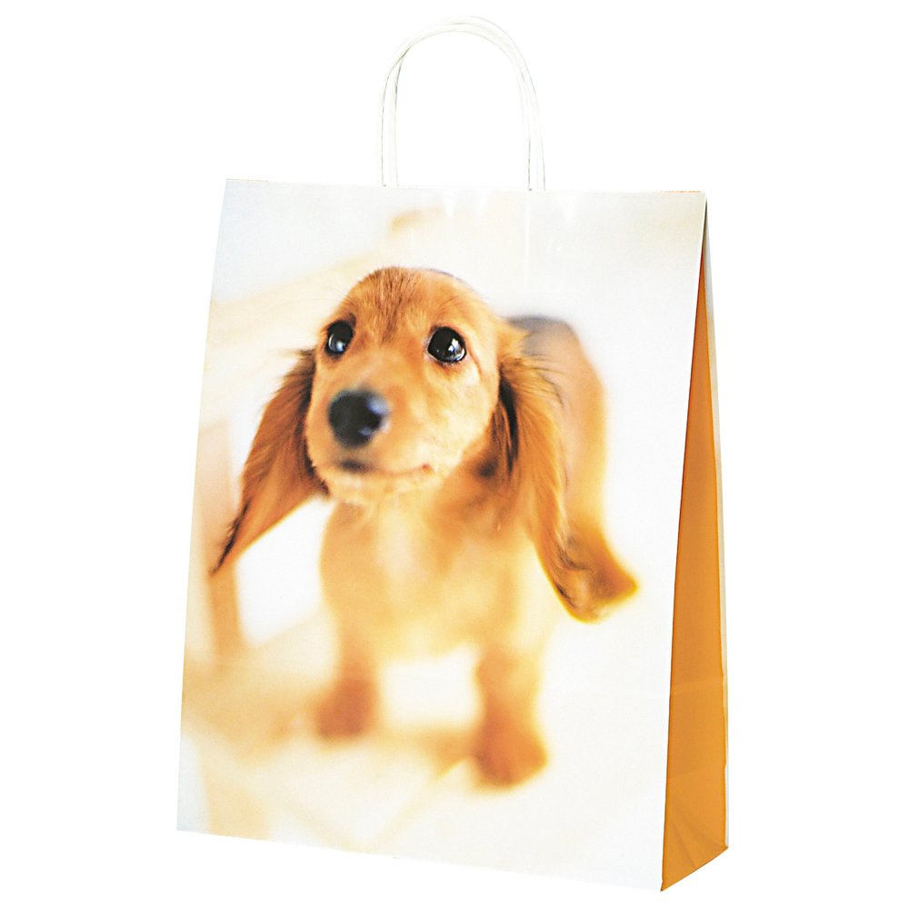 Taka Corporation 50-6314 Large Puppy Print Gift Bags - 10-Piece Set for Birthday Parties, Baby Showers & Holiday Gifting