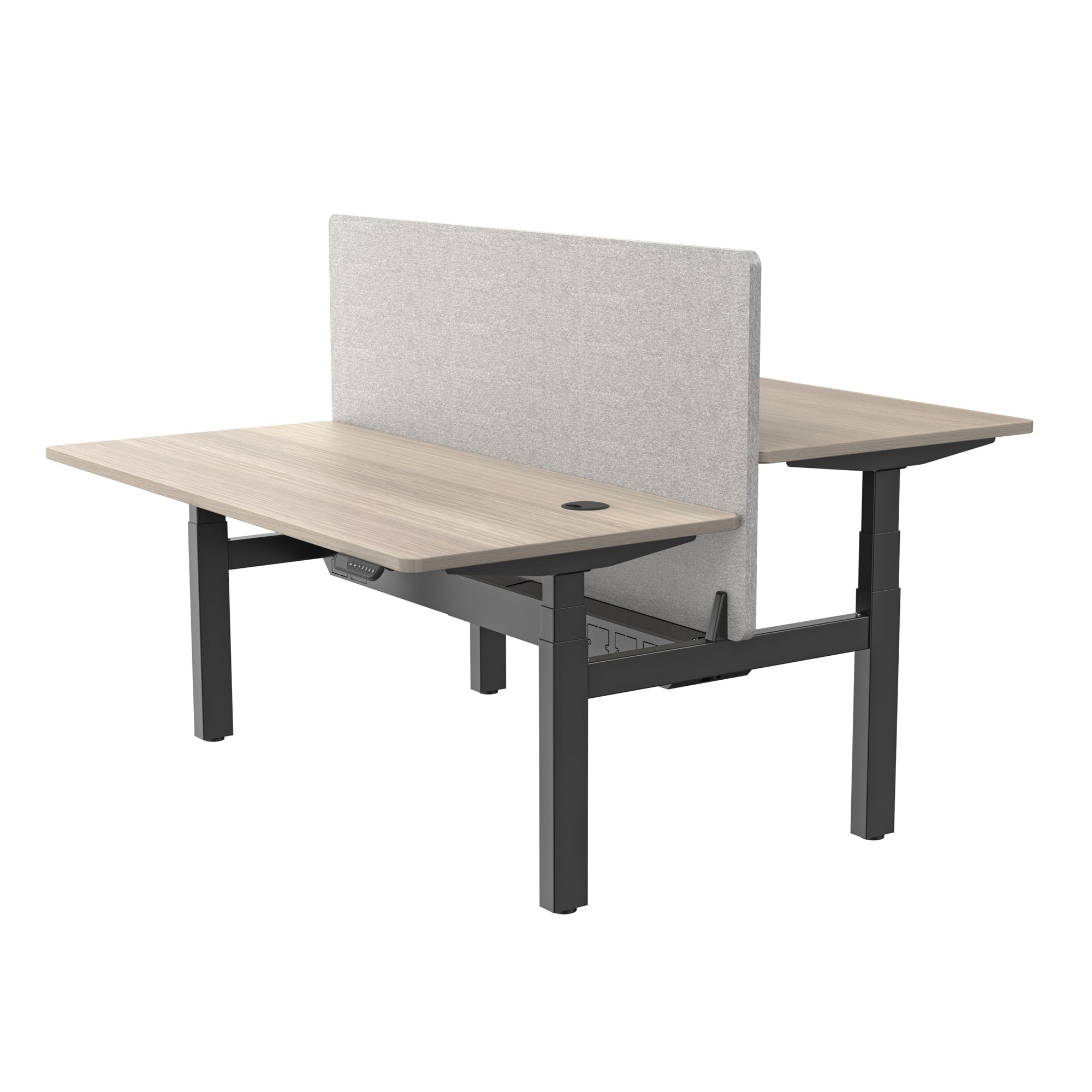 MARLO 2 Person Standing Desk - Dual Motor Adjustable Height 55