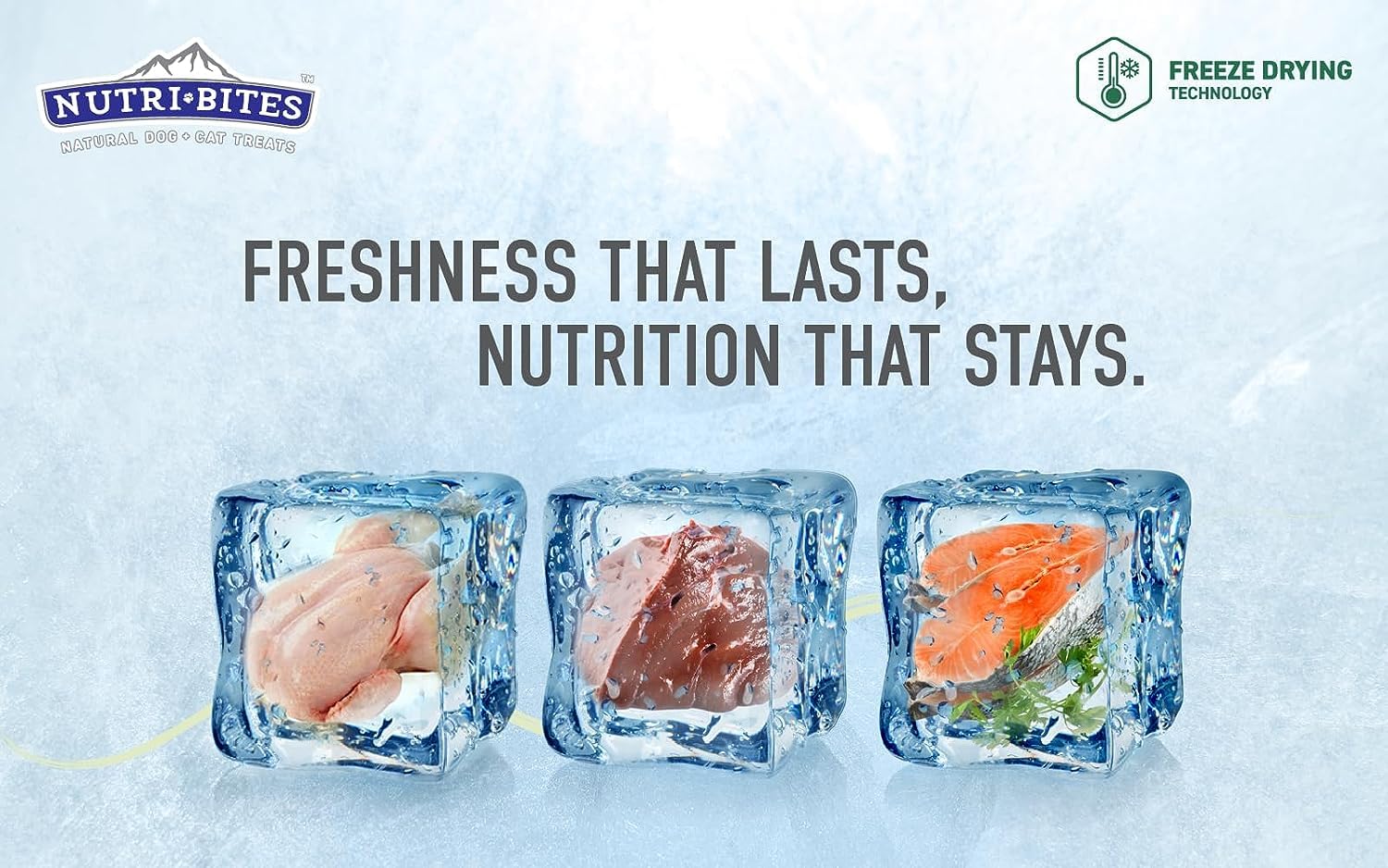 Nutri Bites Freeze Dried Wild Caught Salmon Dog & Cat Treats - 18.3oz Value Pack - High Protein, Omega-3 Rich Pet Snacks for Immune Support & Healthy Skin Coat - Perfect for Training Rewards and Daily Treats