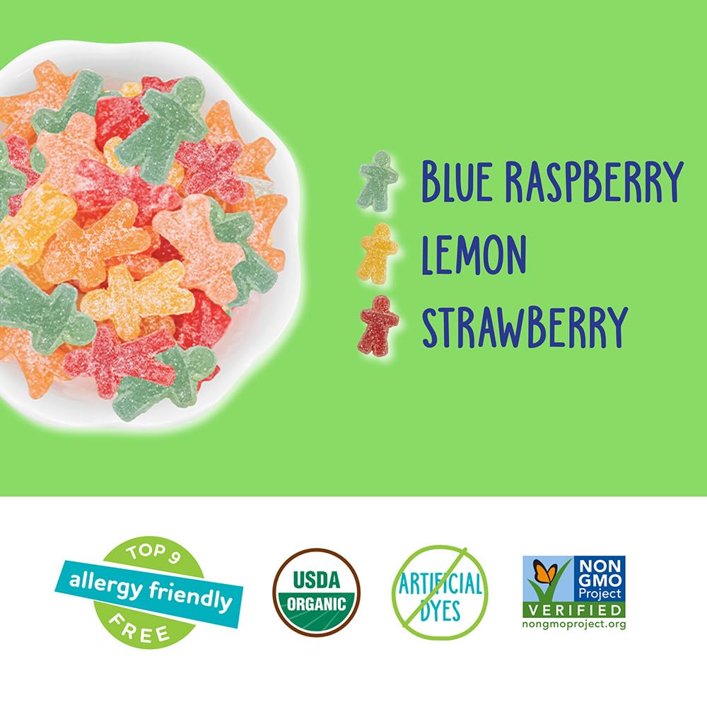 YumEarth Organic Sour Littles Chewy Candy - Allergy Friendly, No Artificial Dyes or Flavors, Non-GMO, Gluten Free, Vegan - 5oz Bag - Perfect for School Lunches, Parties & Healthy Snacking