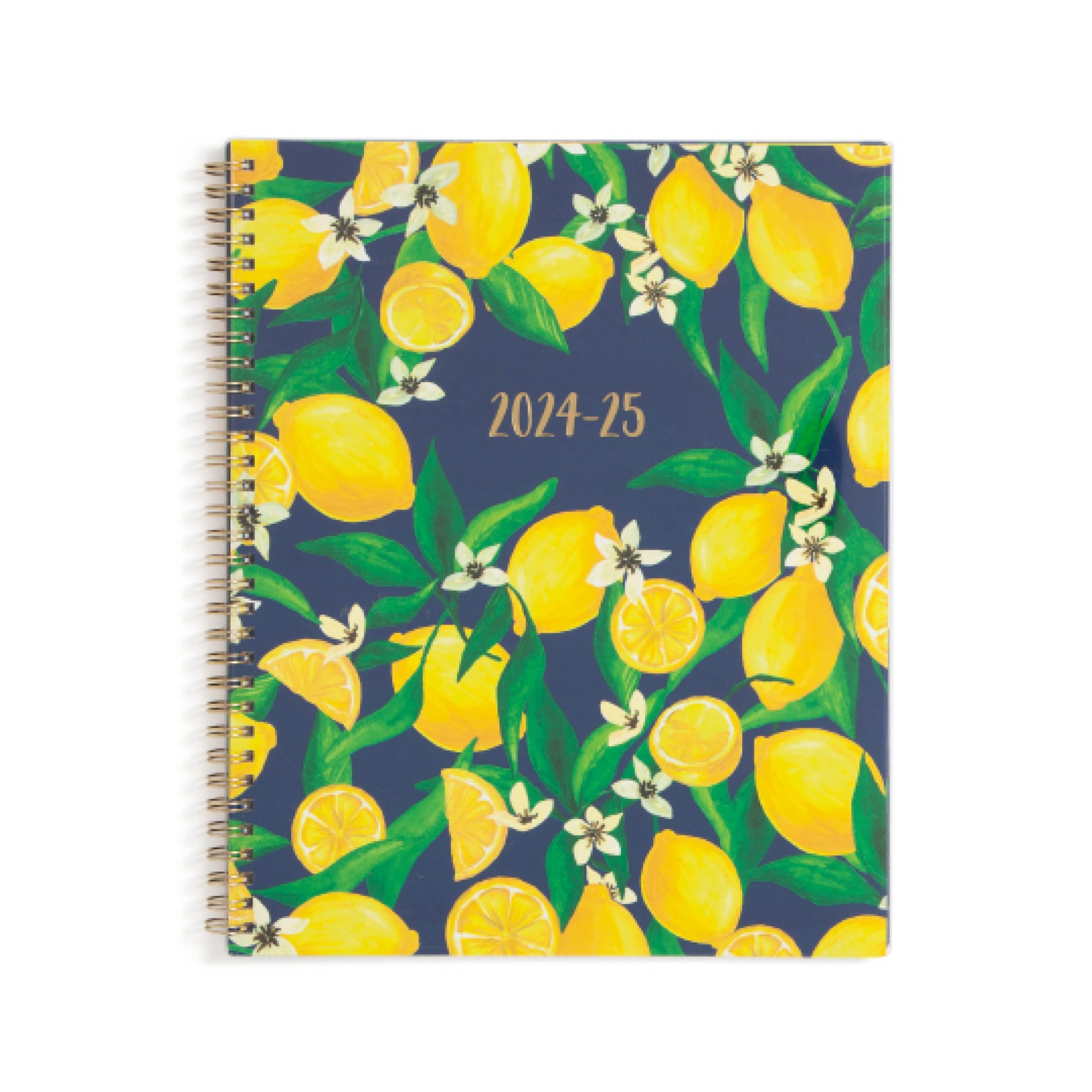 Blue Sky 2024-2025 Teacher Planner - Weekly & Monthly Lesson Organizer, 8.5