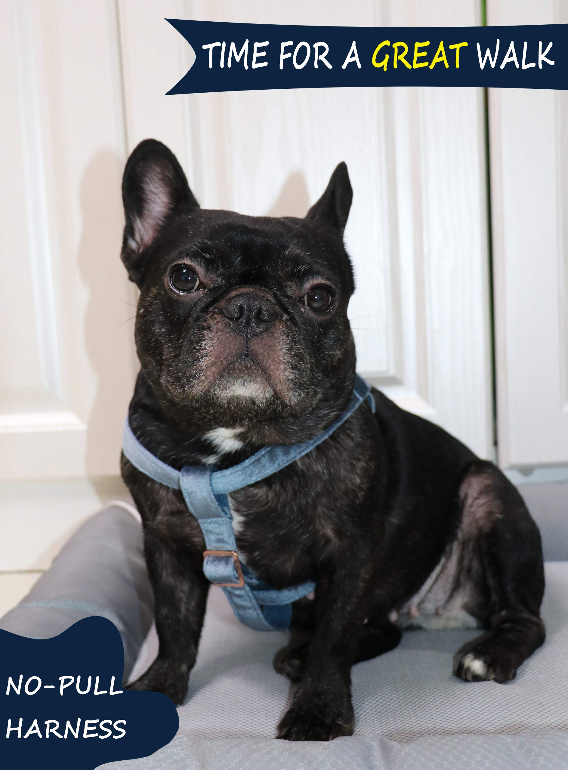 Premium Velvet No-Pull Dog Harness with Adjustable Straps - Heavy Duty Pet Halter for Small, Medium & Large Dogs - Perfect for Walking, Training & Outdoor Adventures