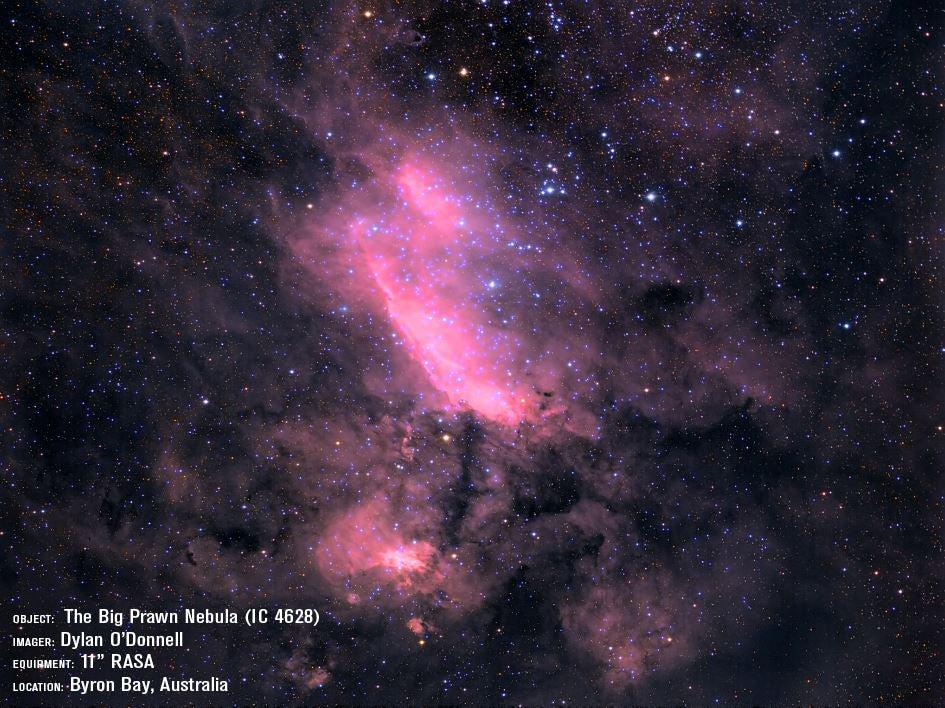 CGX L 11 Rowe Ackermann Schmidt Astrograph (RASA) Equatorial Telescope - Premium Astrophotography Telescope for Deep Space Observation, Star Gazing & Night Sky Photography