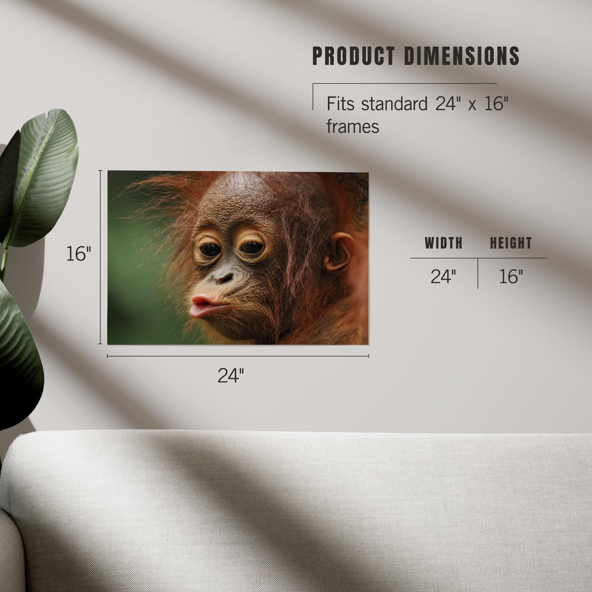 Lantern Press 16x24 Inch Giclee Art Print - Baby Orangutan Kissing Wall Decor for Living Room, Nursery & Office | High Quality Canvas Painting for Home Decor