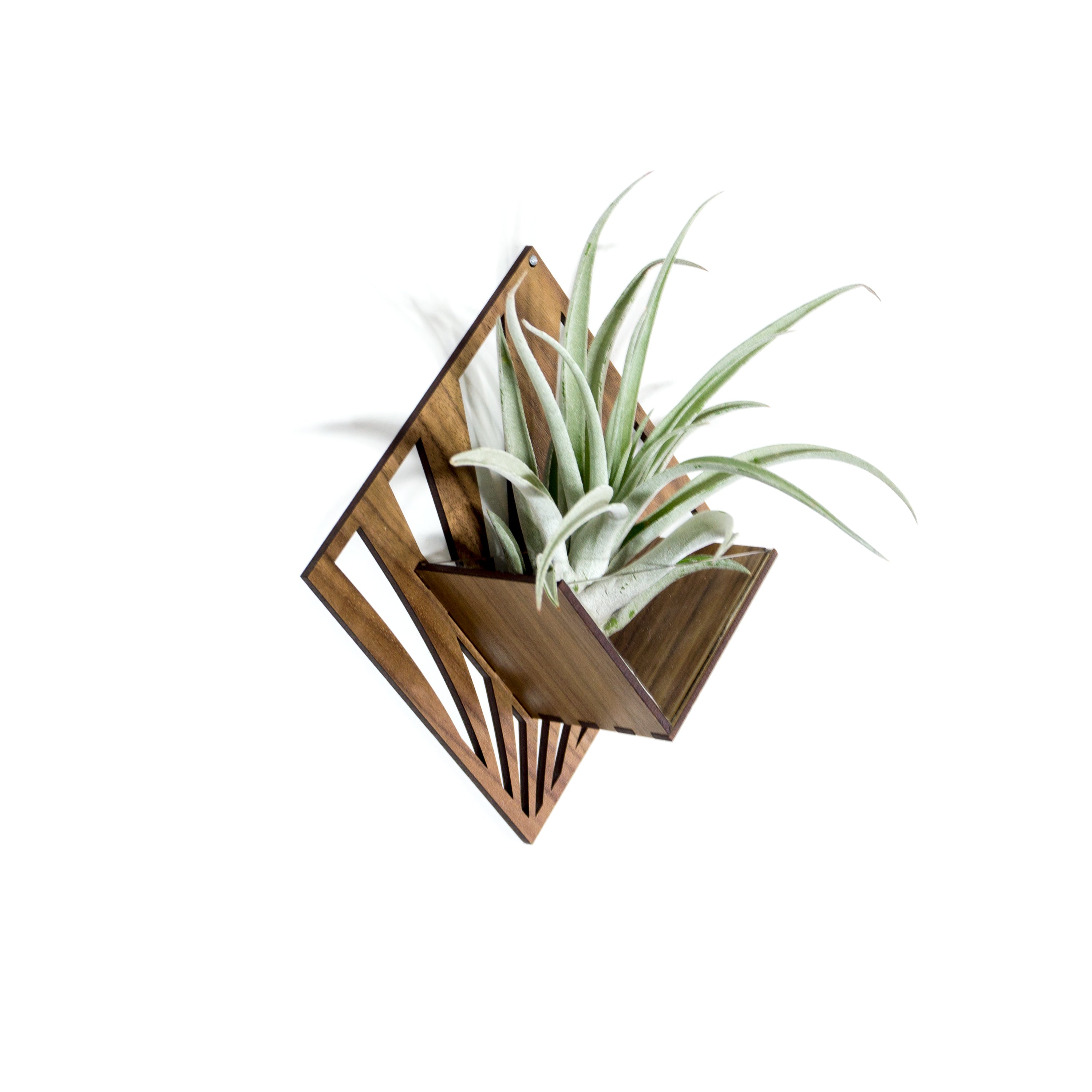 Handmade Wooden Quadrate Wall Planter Set of 2 - Air Plant Holder & Mounted Hanger Display for Tillandsia | Rustic Home Decor, Unique Plant Lover Gift Idea for Living Room, Bedroom or Office Decor