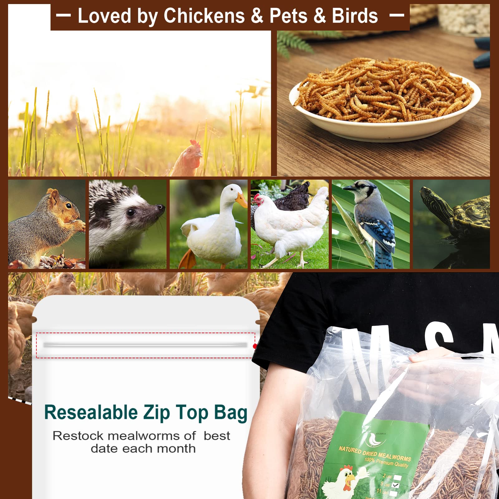 Premium Non-GMO High-Protein Dried Mealworms (6LB) - All-Natural Chicken Feed, Duck Food & Wild Bird Treats | Ideal for Poultry, Reptiles, Amphibians & Fish | Perfect for Backyard Chickens, Bird Feeding & Pet Nutrition